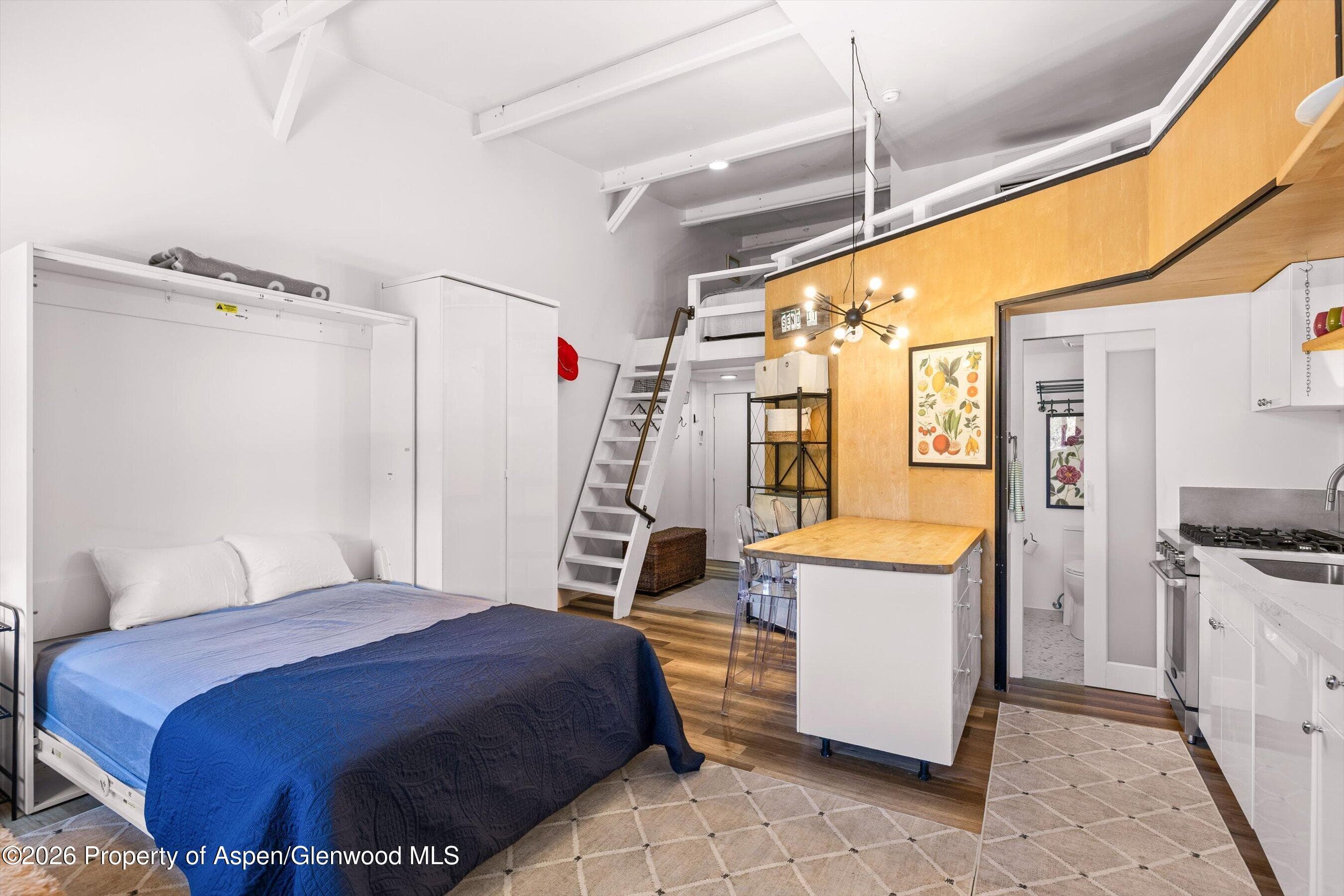 412 N Mill Street B9, Aspen, CO 81611 - Photo 4