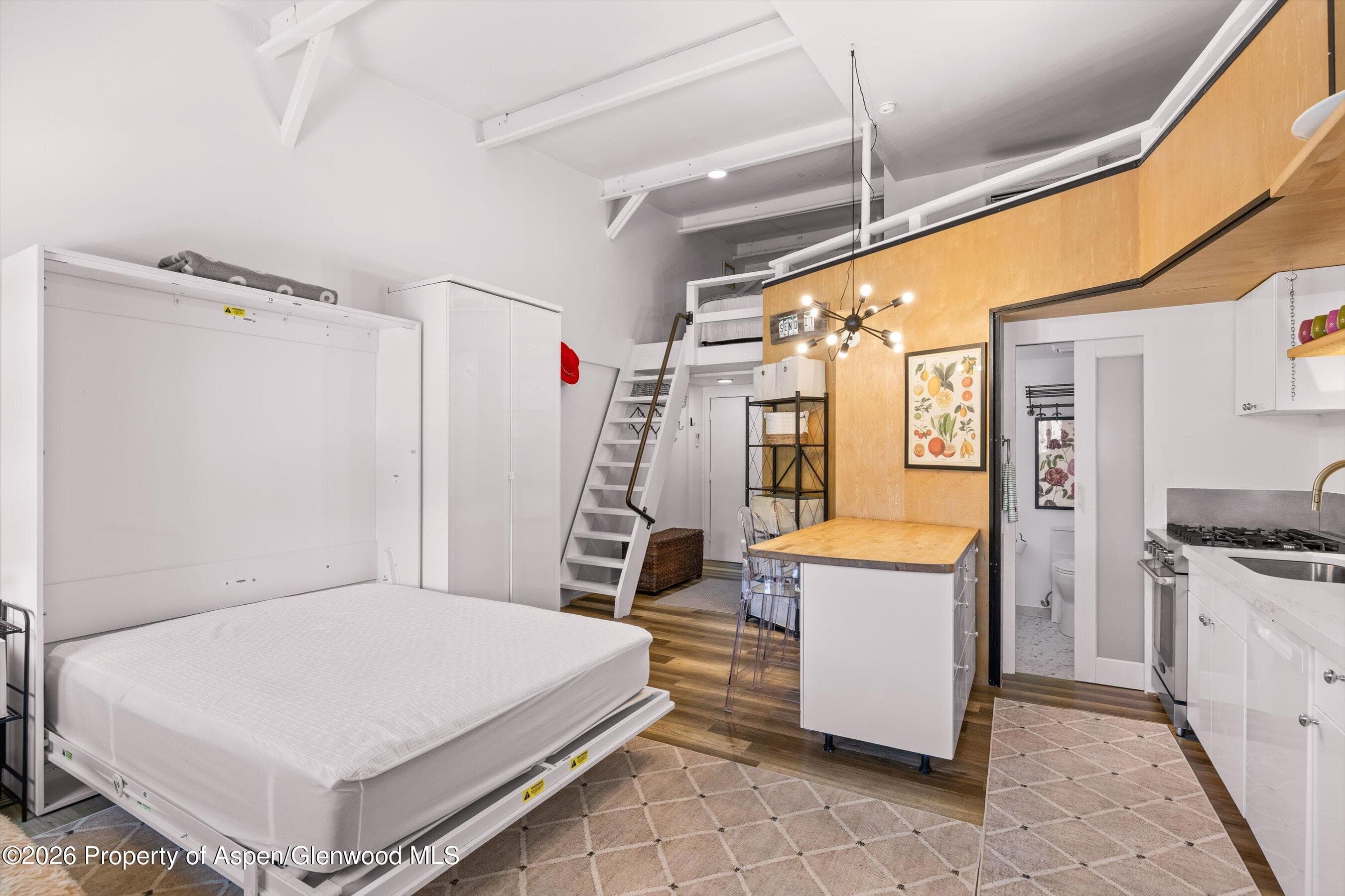 412 N Mill Street B9, Aspen, CO 81611 - Photo 5