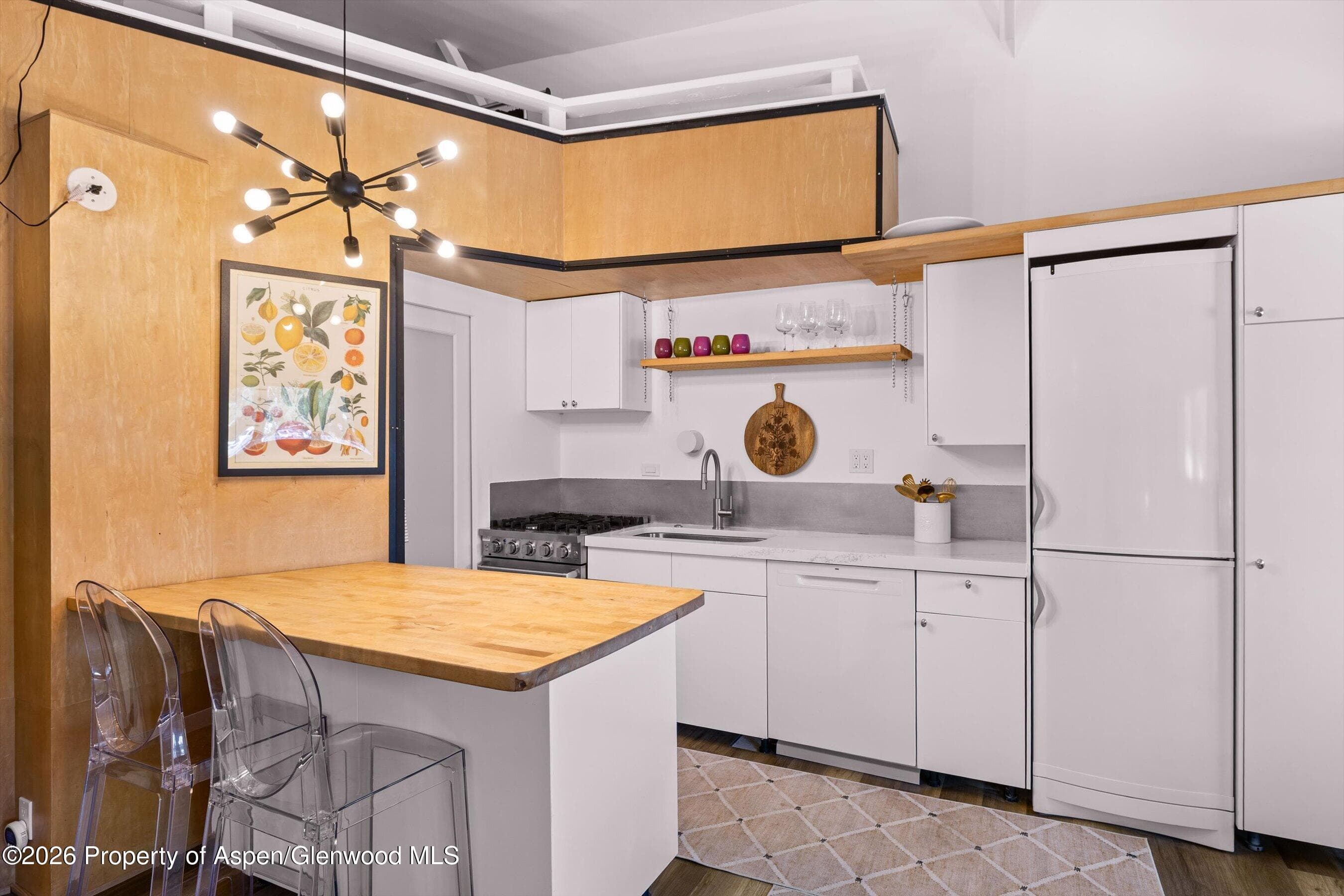 412 N Mill Street B9, Aspen, CO 81611 - Photo 6