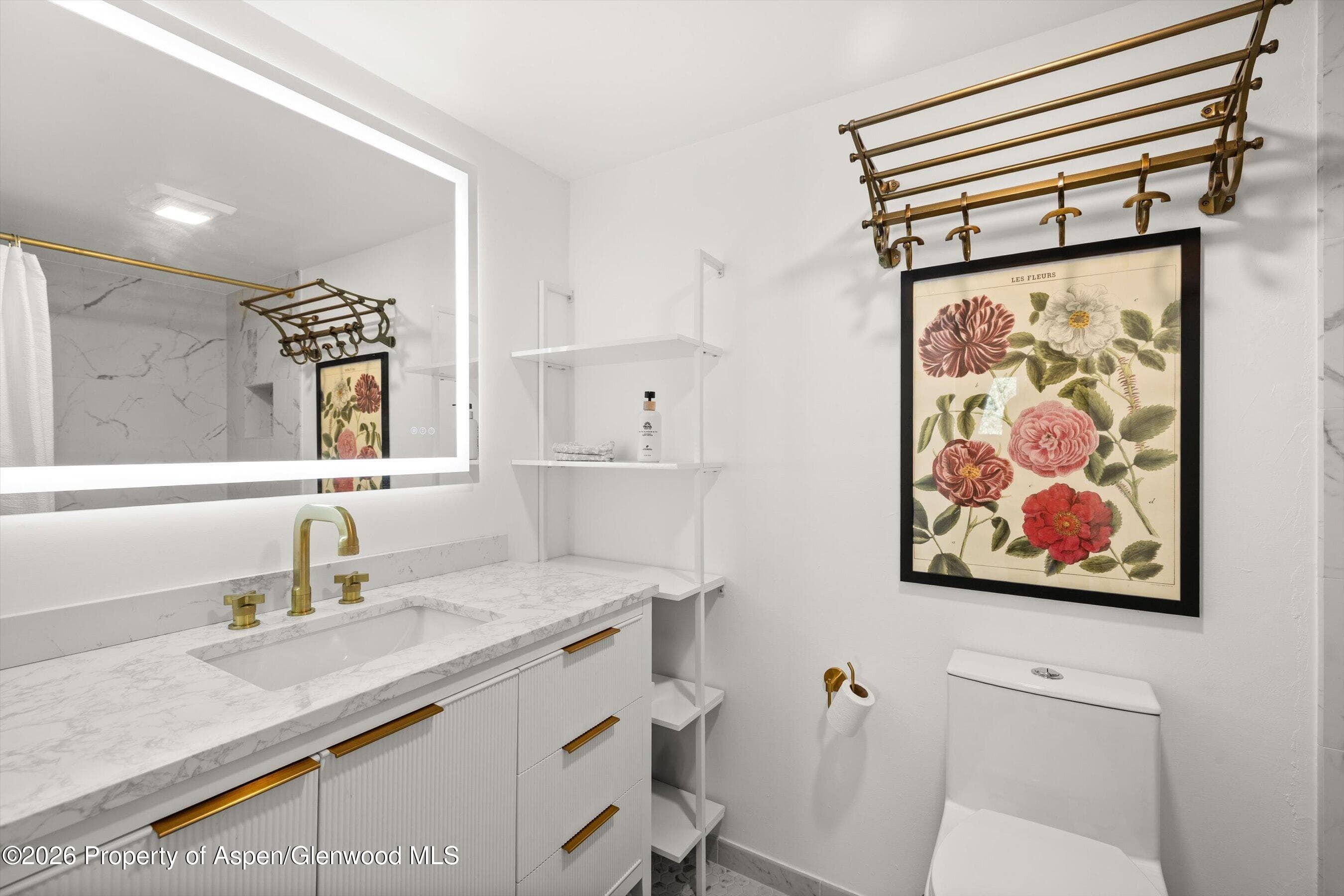 412 N Mill Street B9, Aspen, CO 81611 - Photo 10