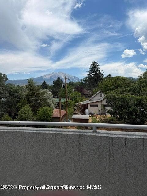 60 S 8th Street 301, Carbondale, CO 81623 - Photo 14