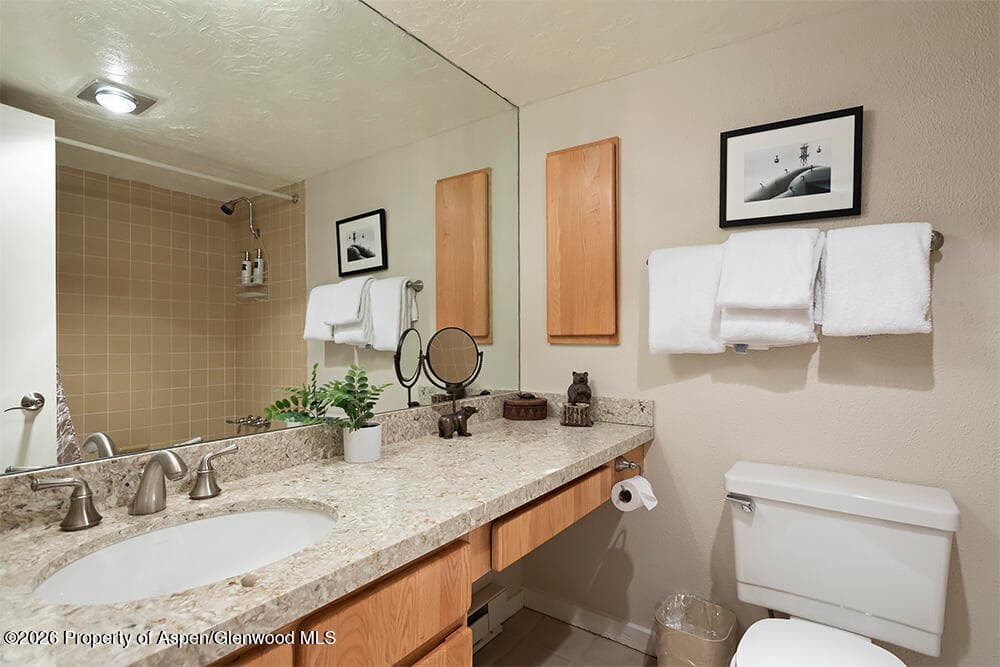 855 Carriage Way Summit 201, Snowmass Village, CO 81615 - Photo 11