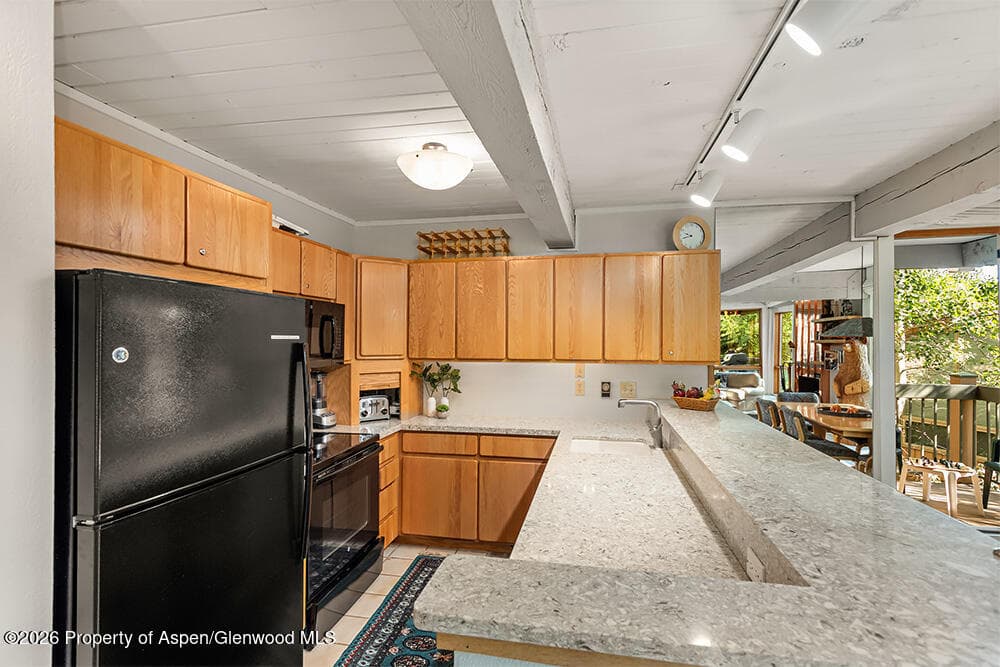 855 Carriage Way Summit 201, Snowmass Village, CO 81615 - Photo 5