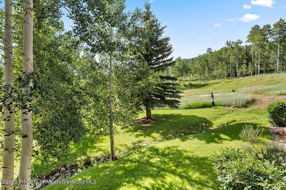 855 Carriage Way Summit 201, Snowmass Village, CO 81615 - Photo 16