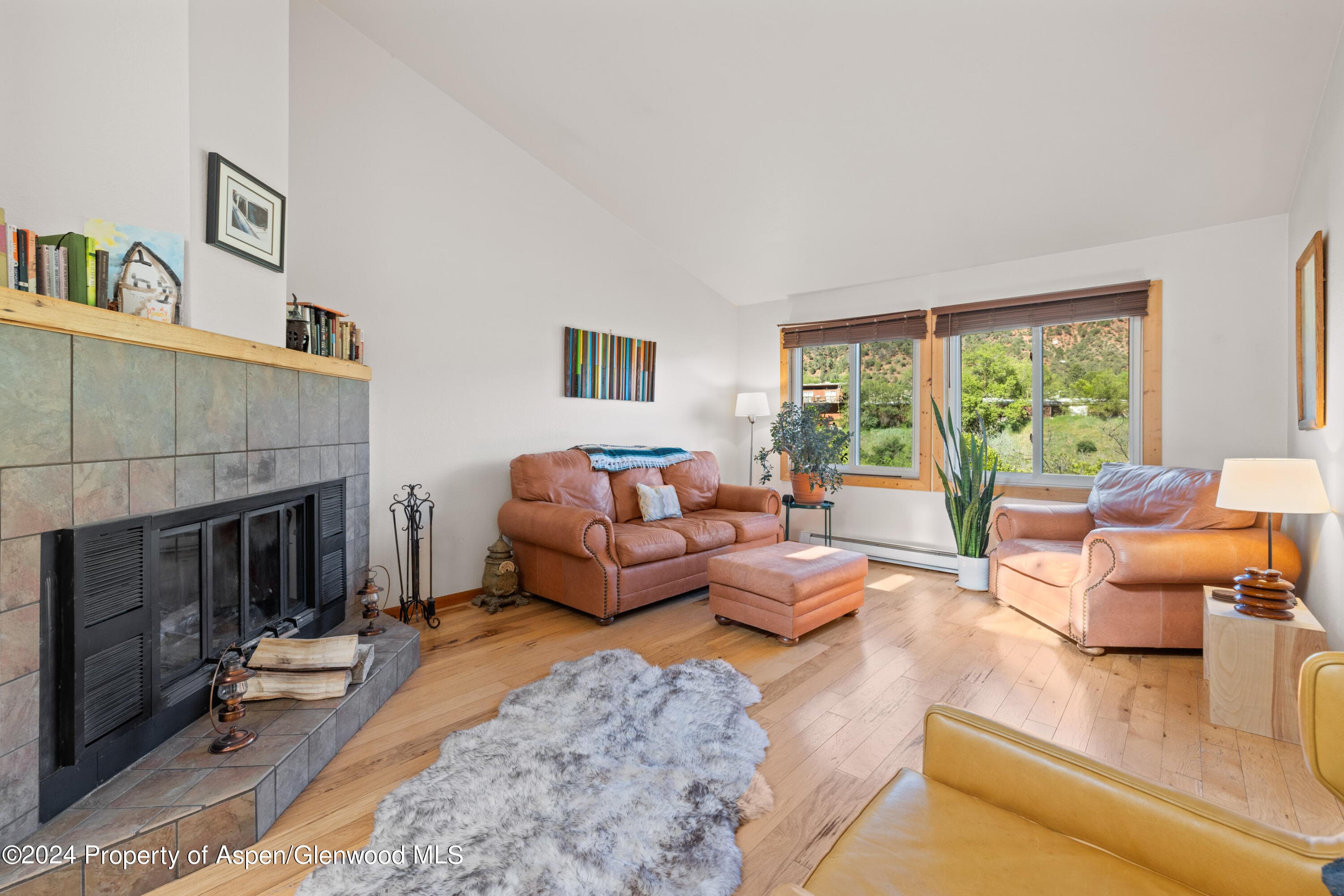 3010 Hager Lane 4, Glenwood Springs, CO 81601 - Photo 10