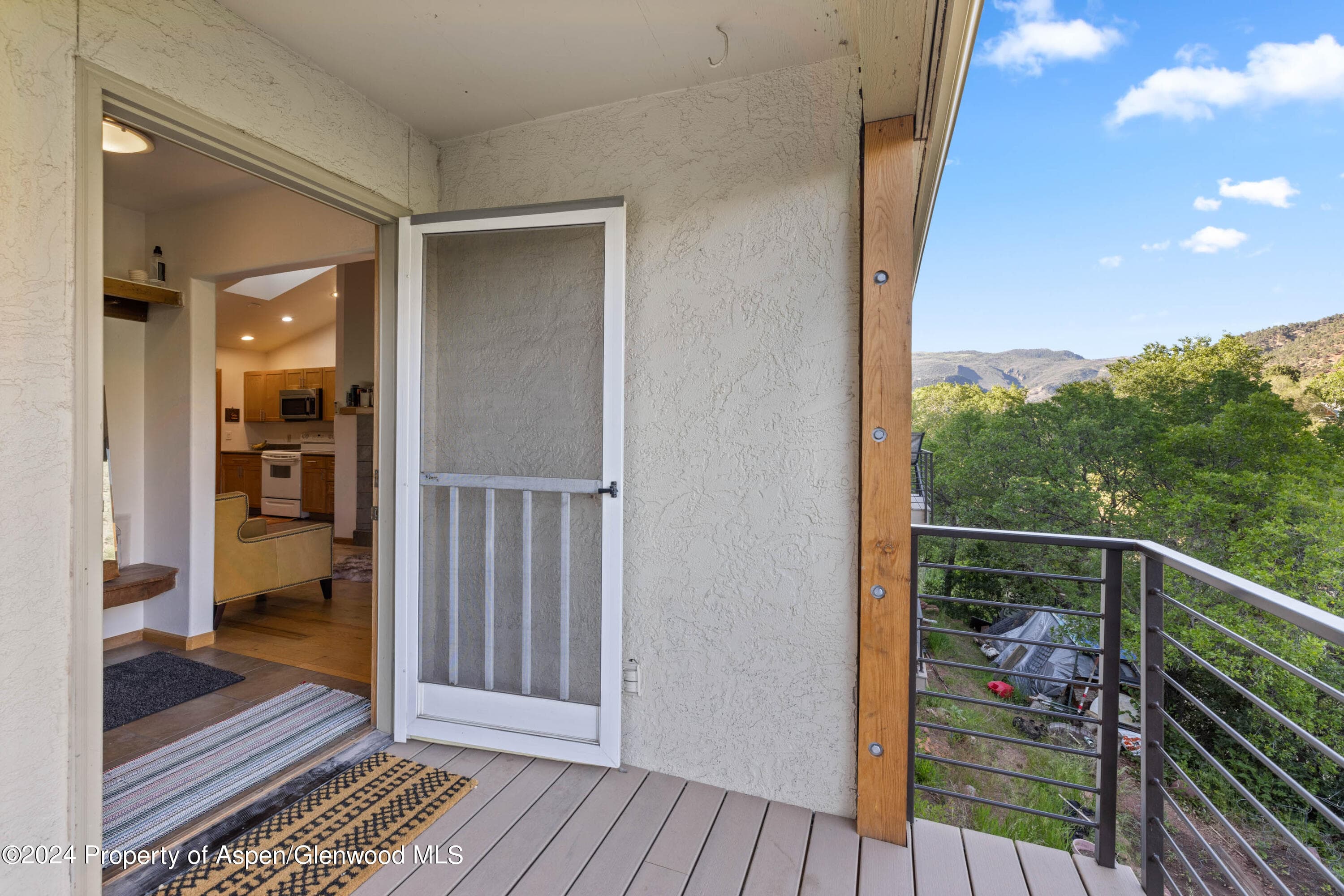 3010 Hager Lane 4, Glenwood Springs, CO 81601 - Photo 19