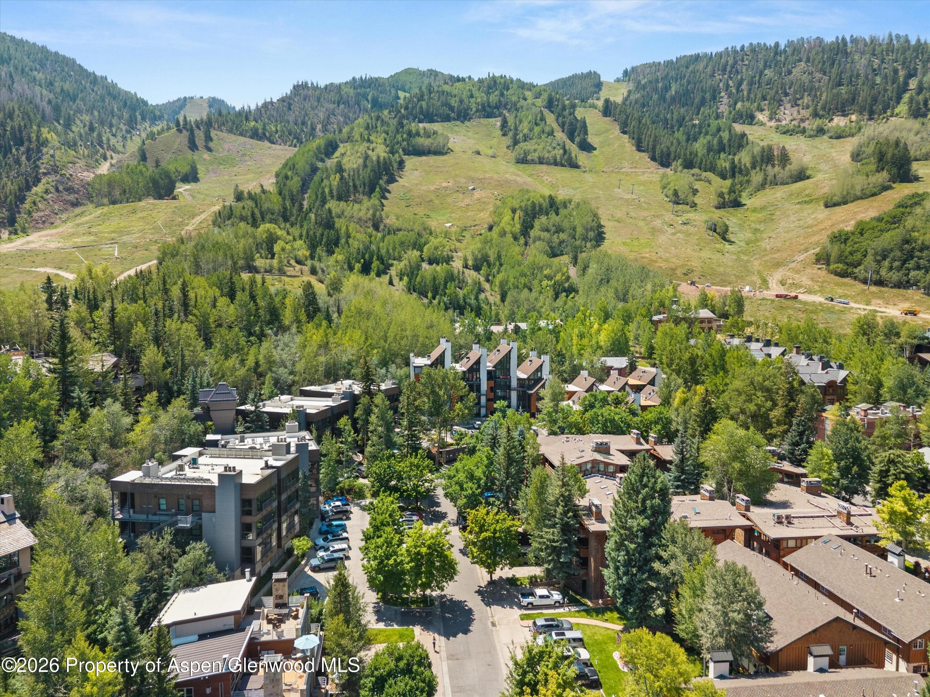 728 S Galena Street 202-B, Aspen, CO 81611 - Photo 34