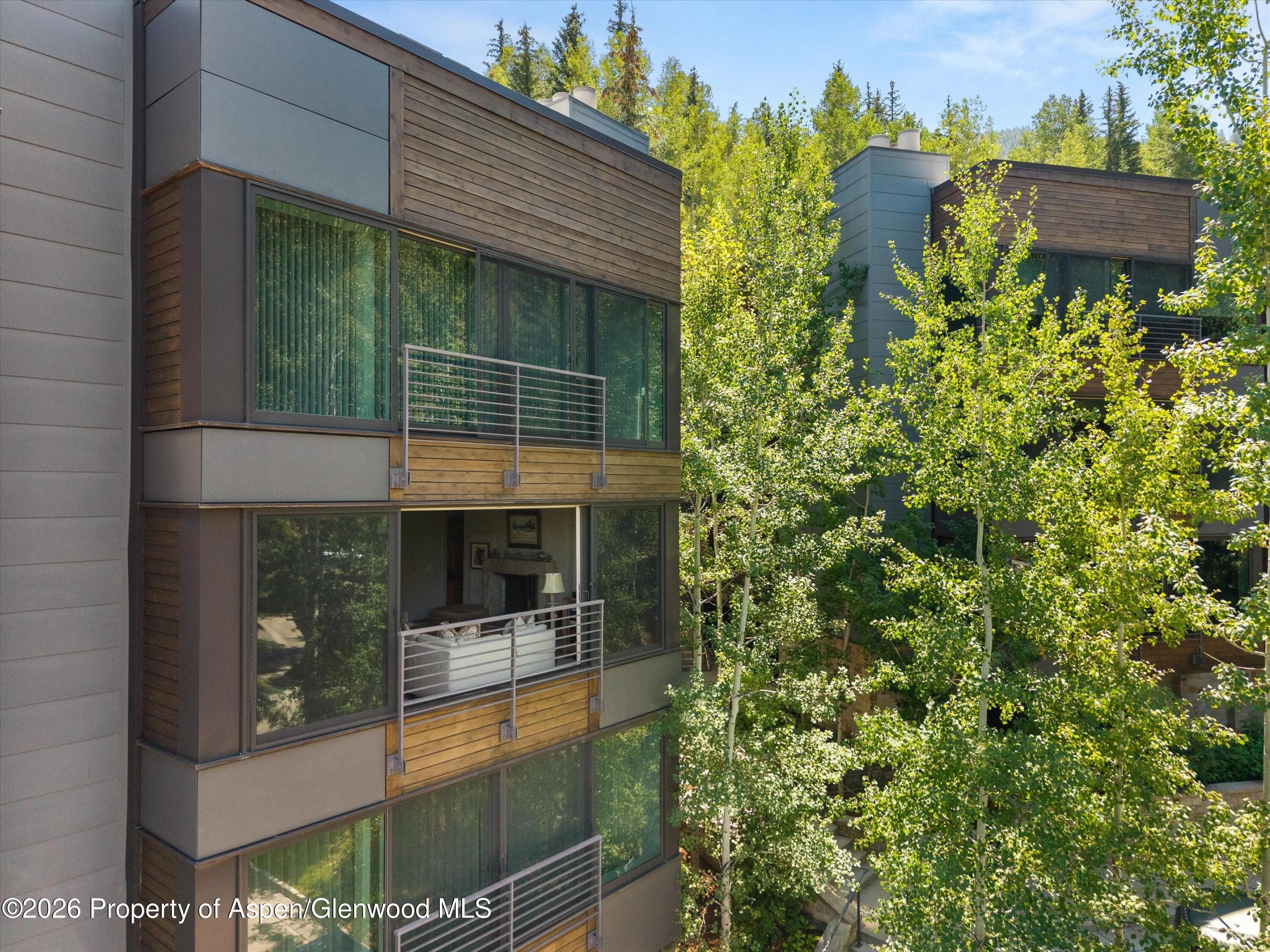 728 S Galena Street 202-B, Aspen, CO 81611 - Photo 13
