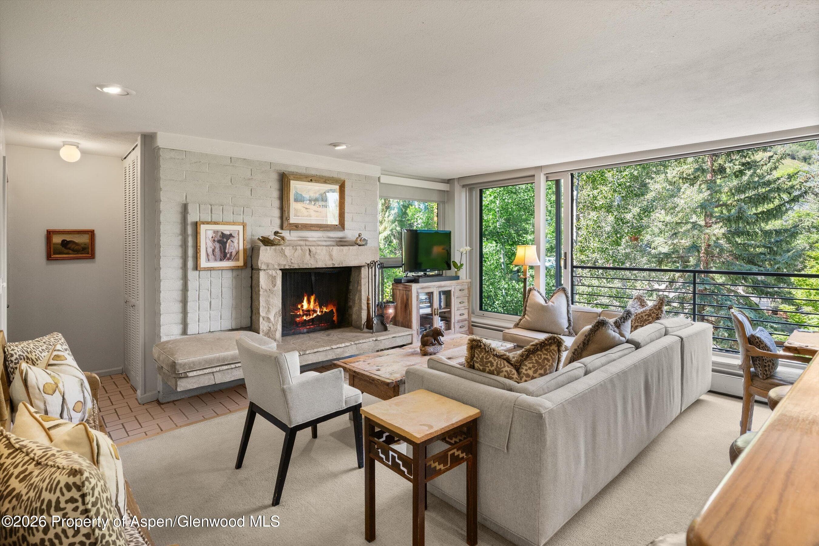 728 S Galena Street 202-B, Aspen, CO 81611 - Photo 14