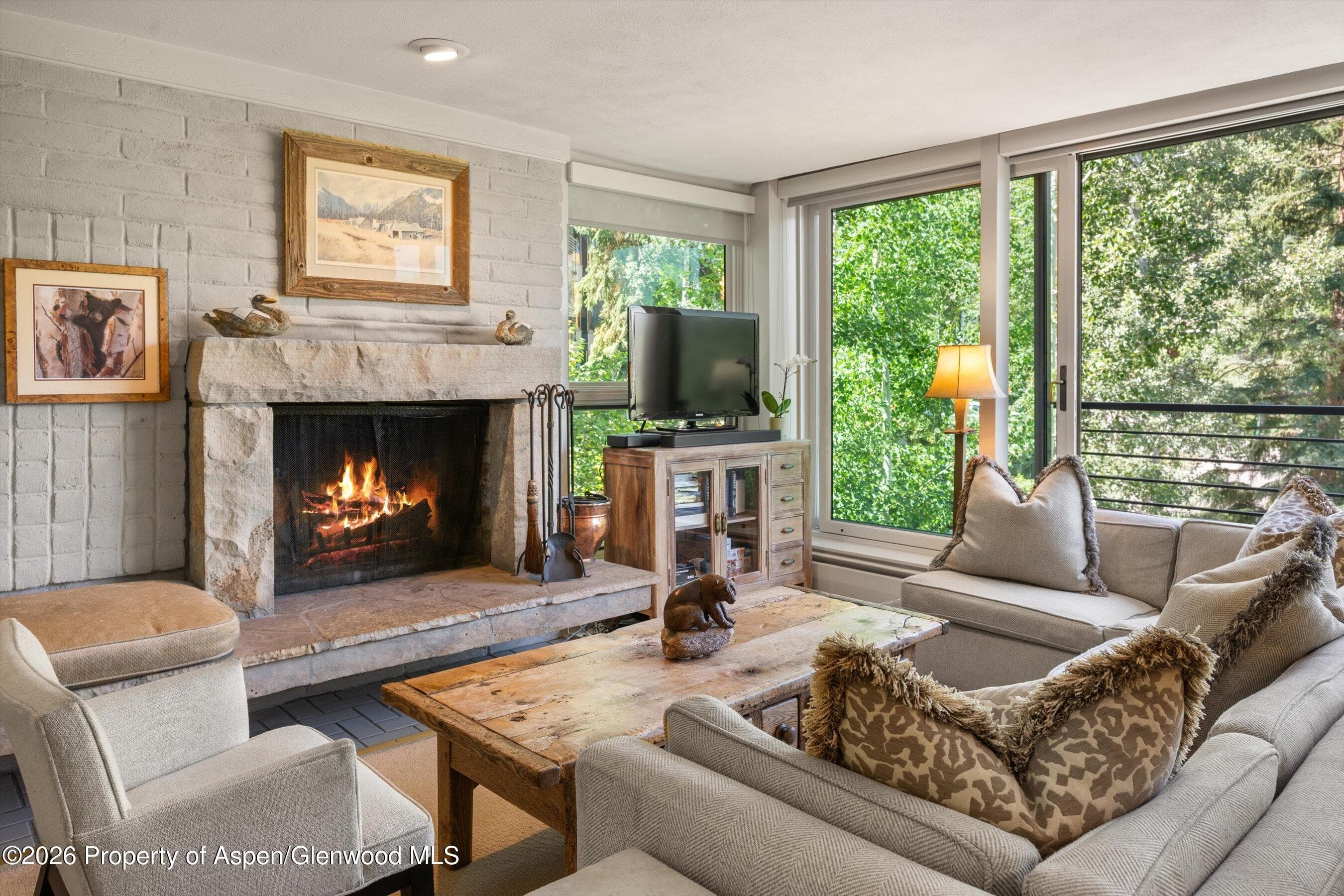 728 S Galena Street 202-B, Aspen, CO 81611