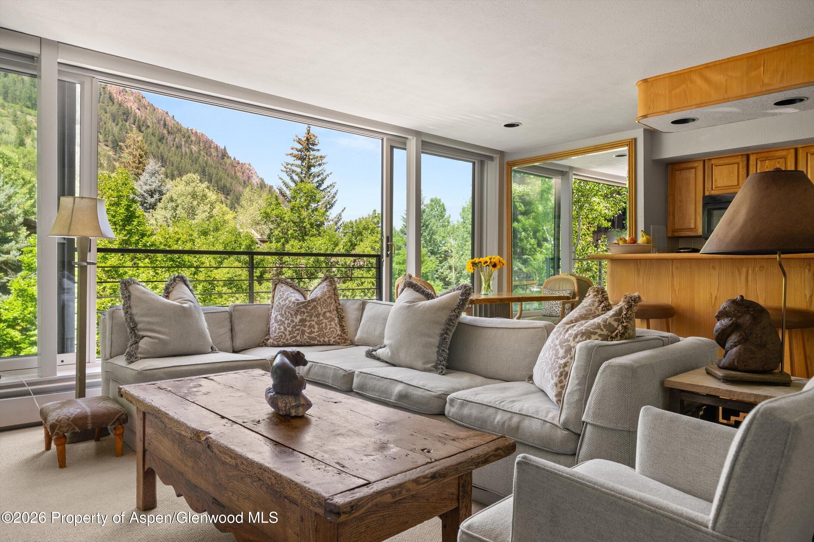 728 S Galena Street 202-B, Aspen, CO 81611 - Photo 3