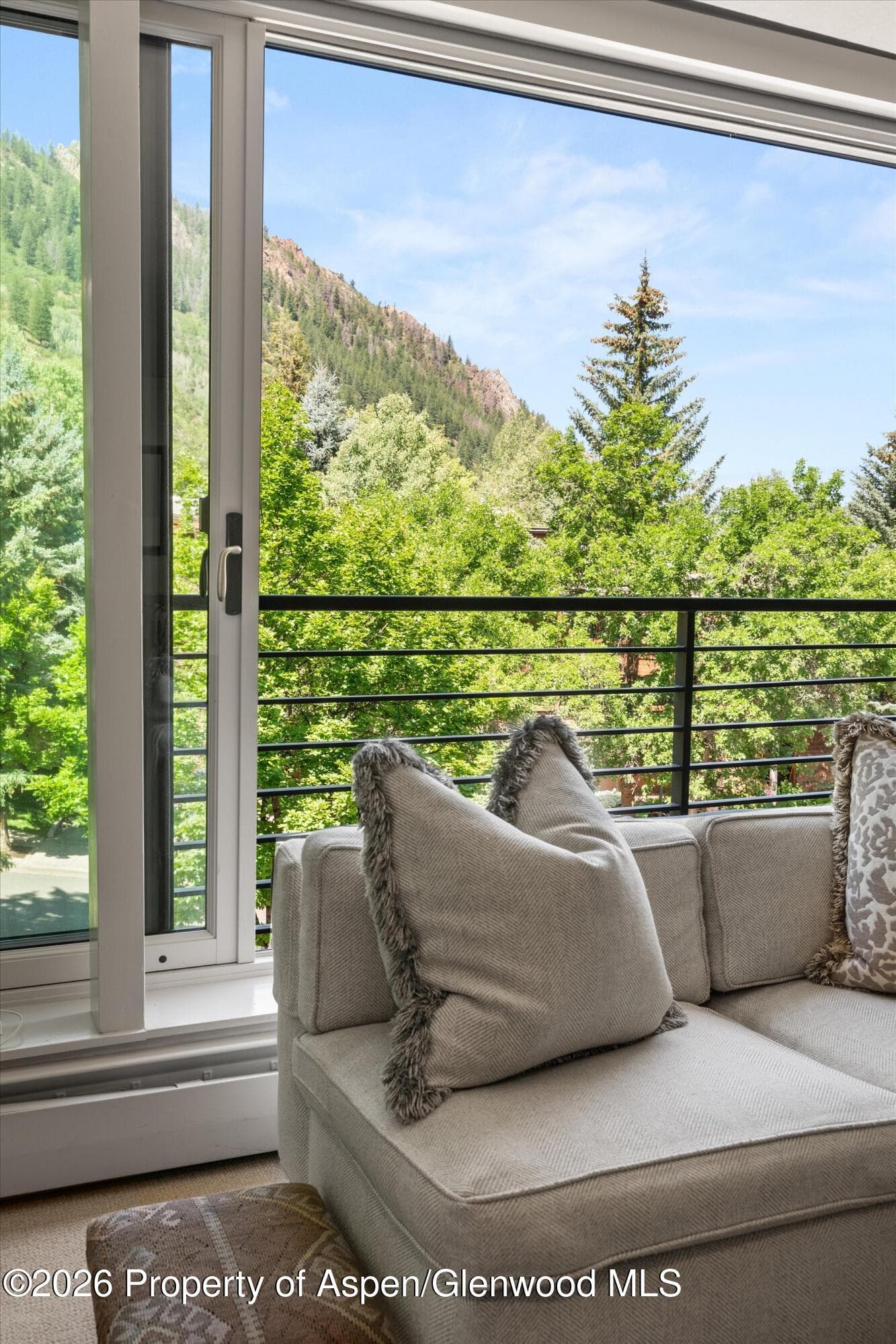 728 S Galena Street 202-B, Aspen, CO 81611 - Photo 6