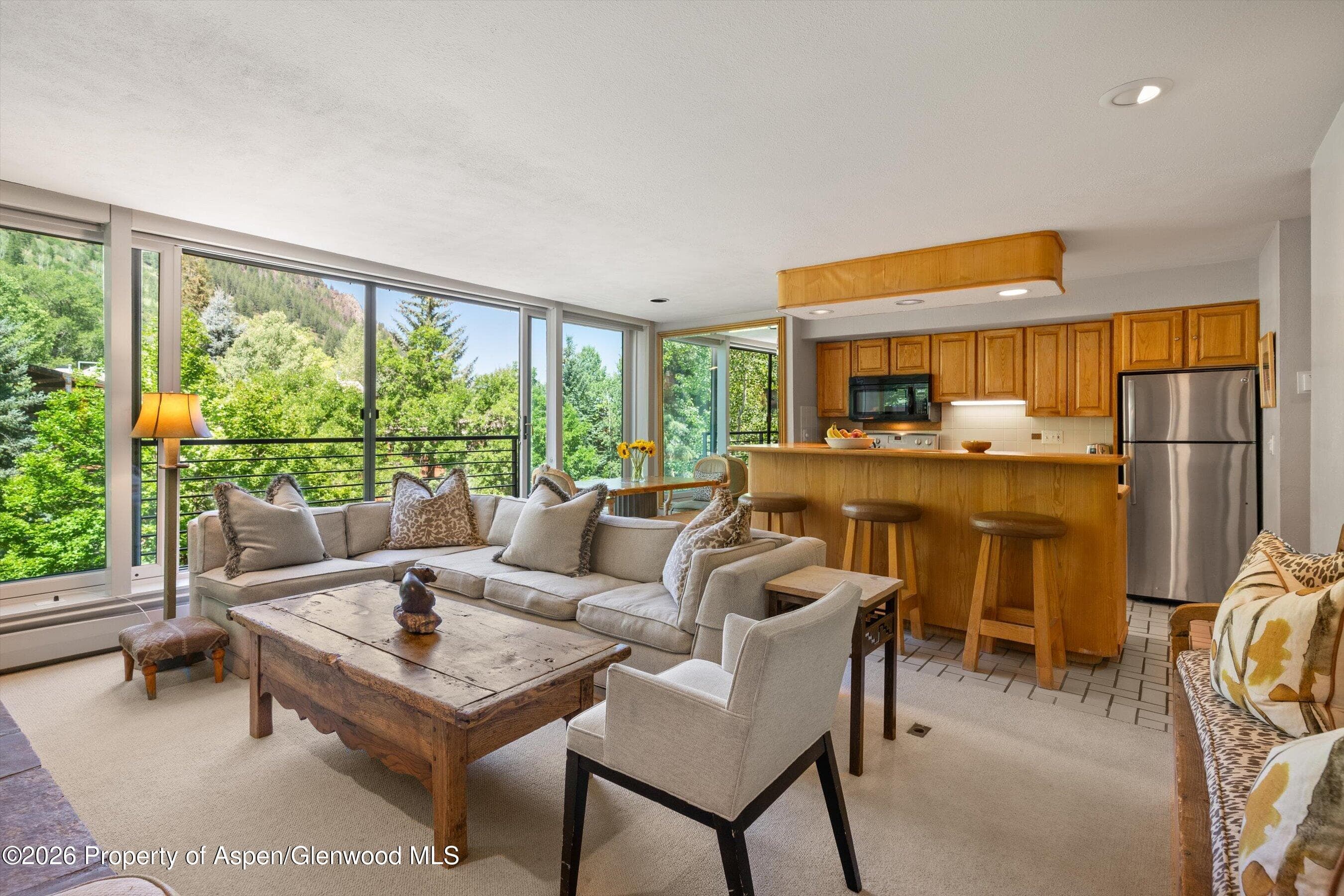 728 S Galena Street 202-B, Aspen, CO 81611 - Photo 4
