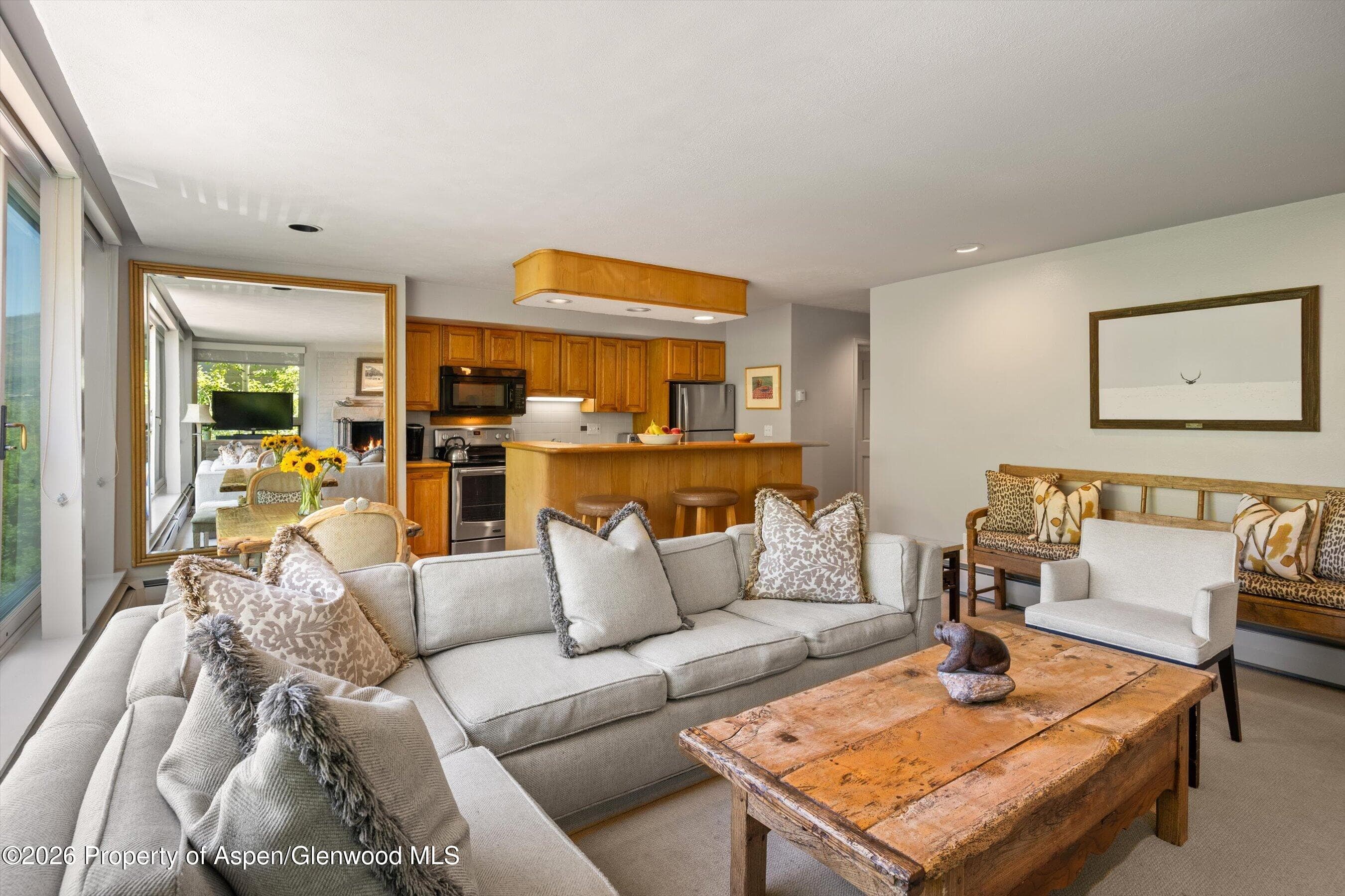 728 S Galena Street 202-B, Aspen, CO 81611 - Photo 5
