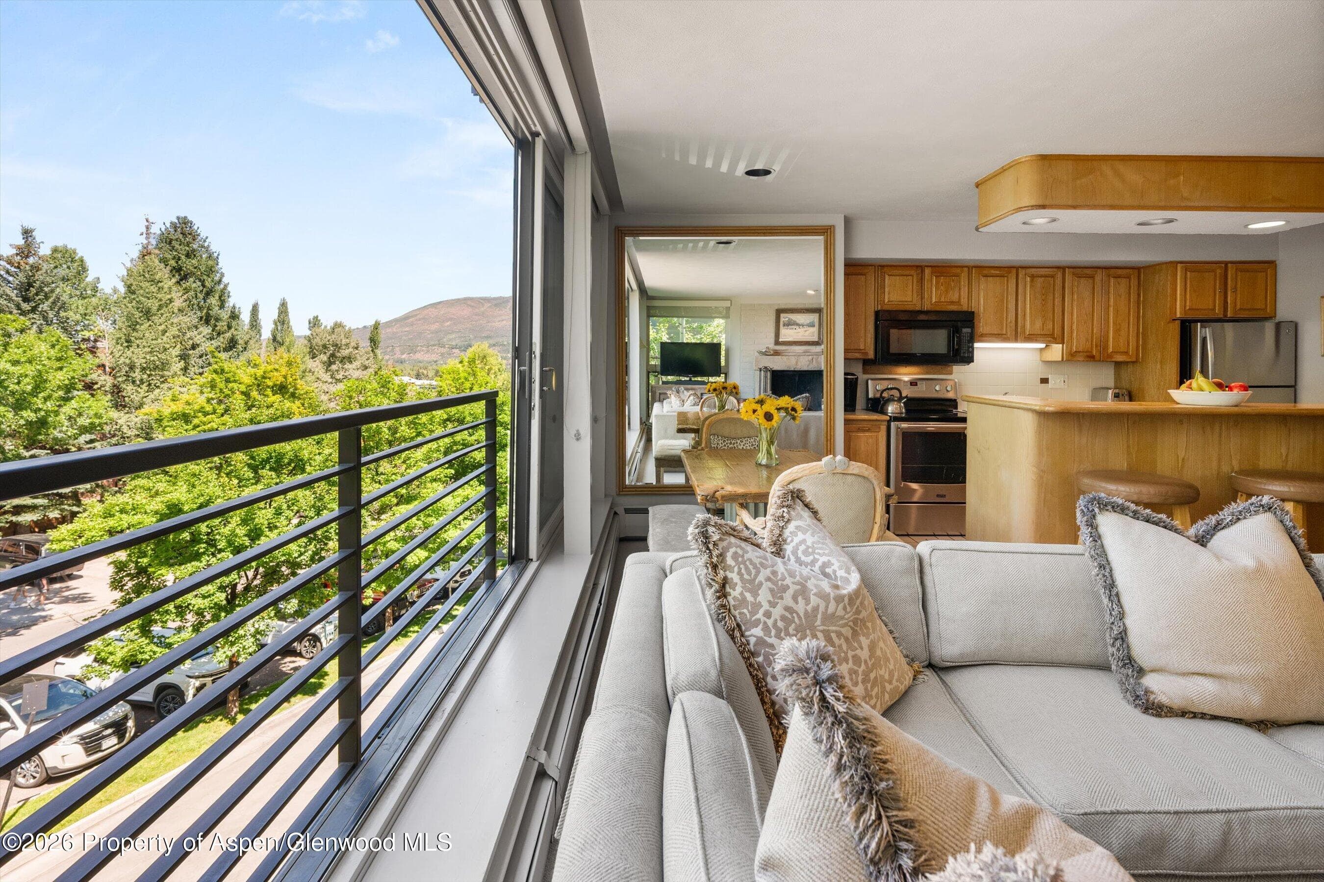 728 S Galena Street 202-B, Aspen, CO 81611 - Photo 8