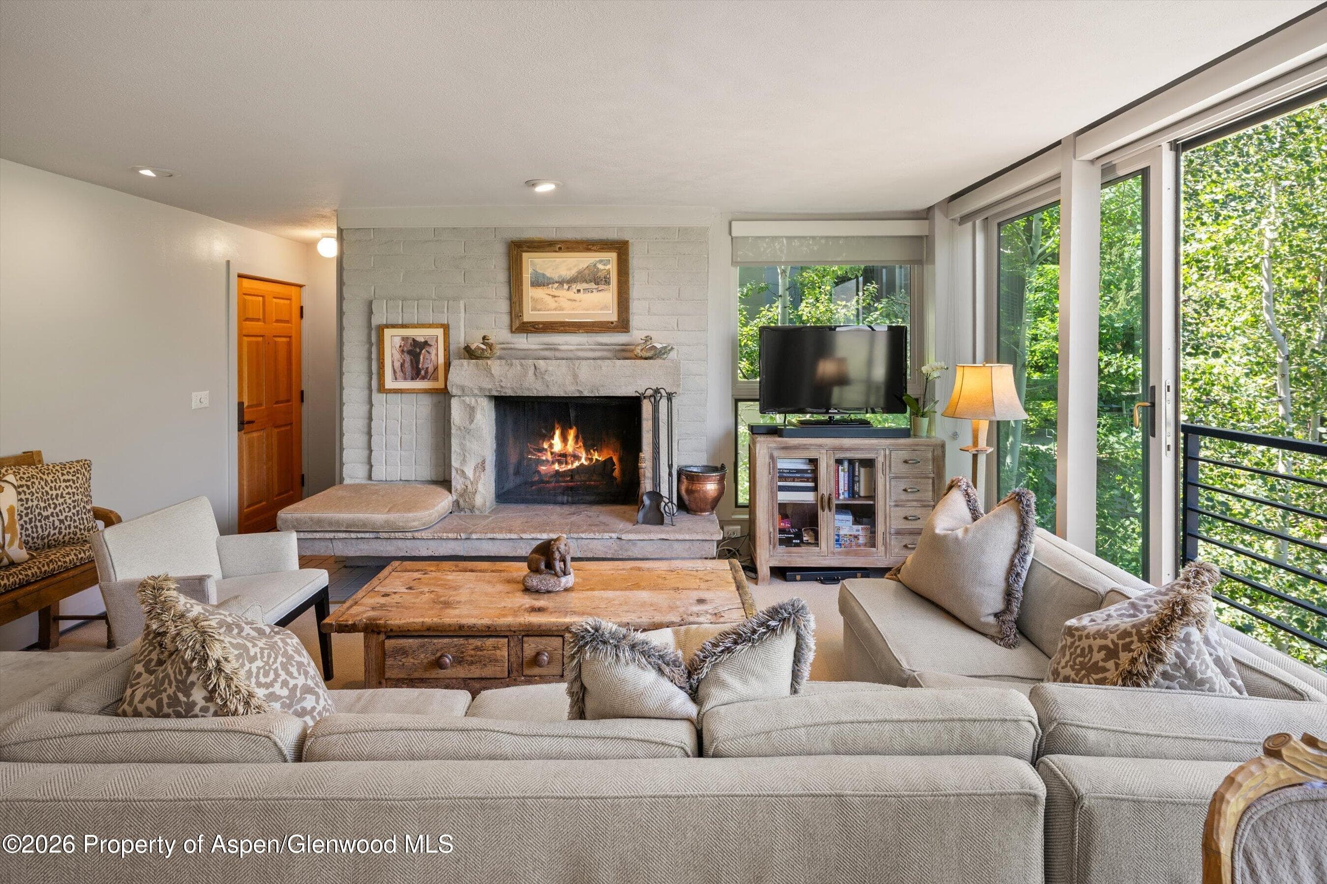 728 S Galena Street 202-B, Aspen, CO 81611 - Photo 10