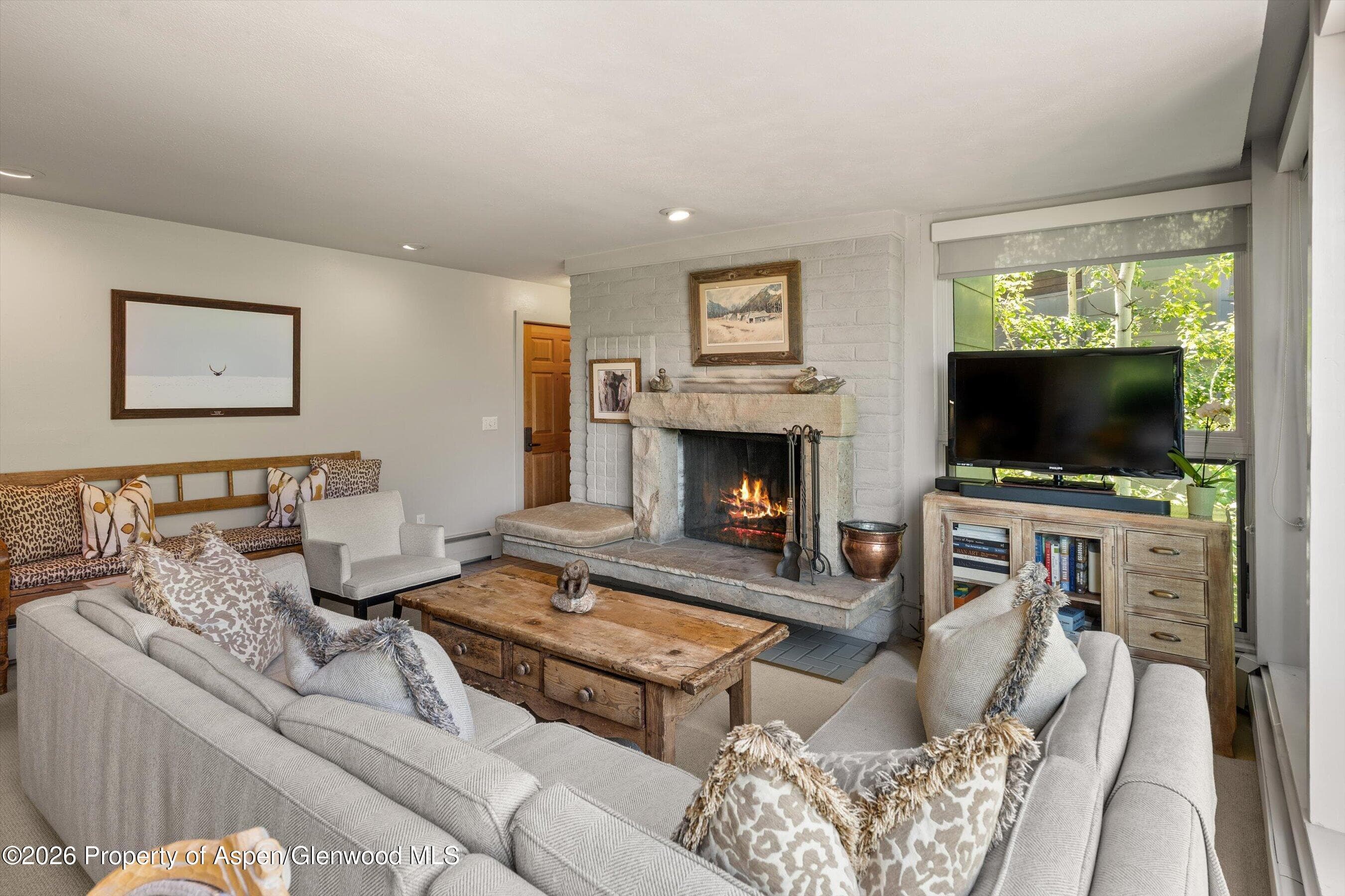 728 S Galena Street 202-B, Aspen, CO 81611 - Photo 11