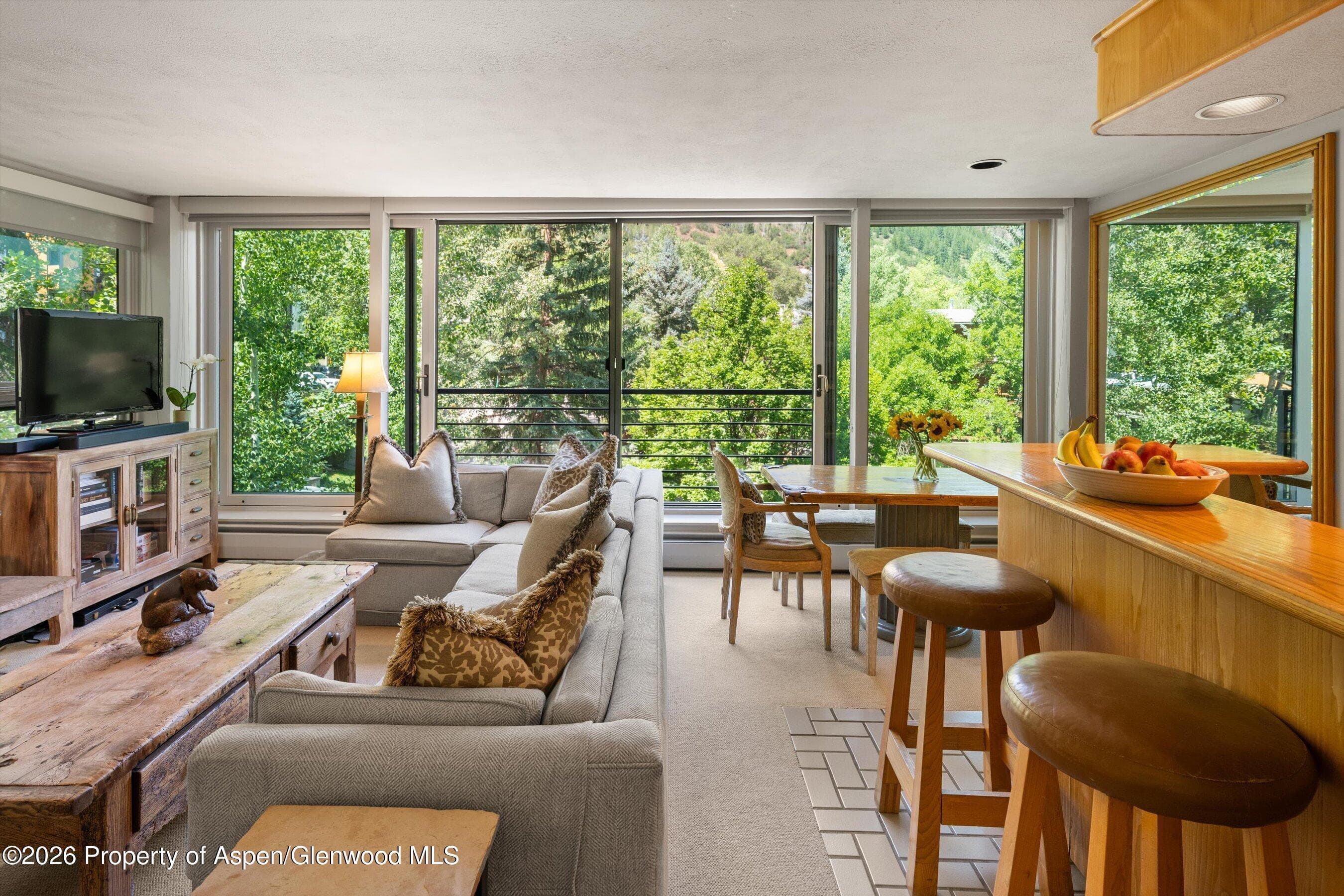 728 S Galena Street 202-B, Aspen, CO 81611 - Photo 15