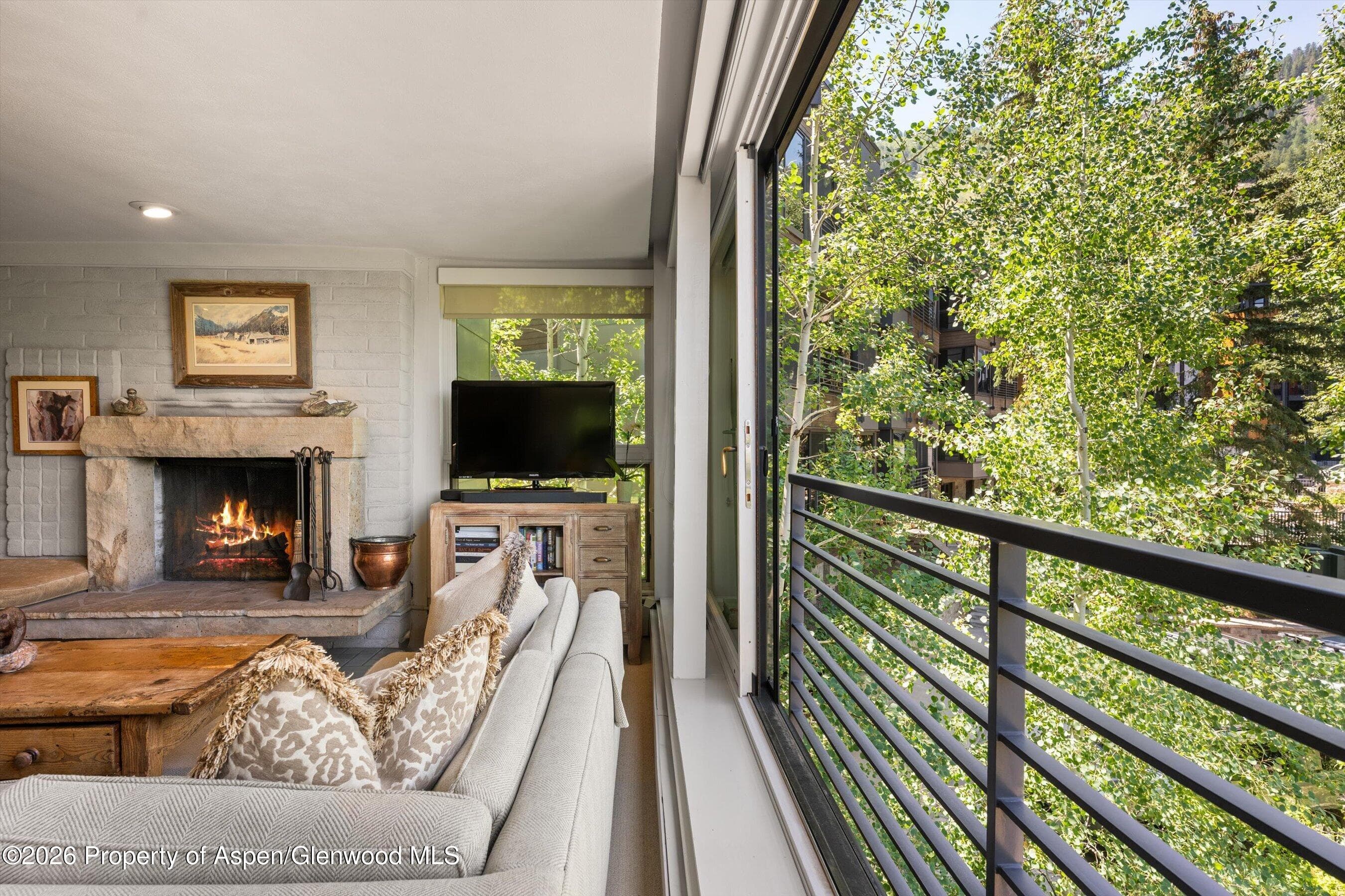728 S Galena Street 202-B, Aspen, CO 81611 - Photo 9