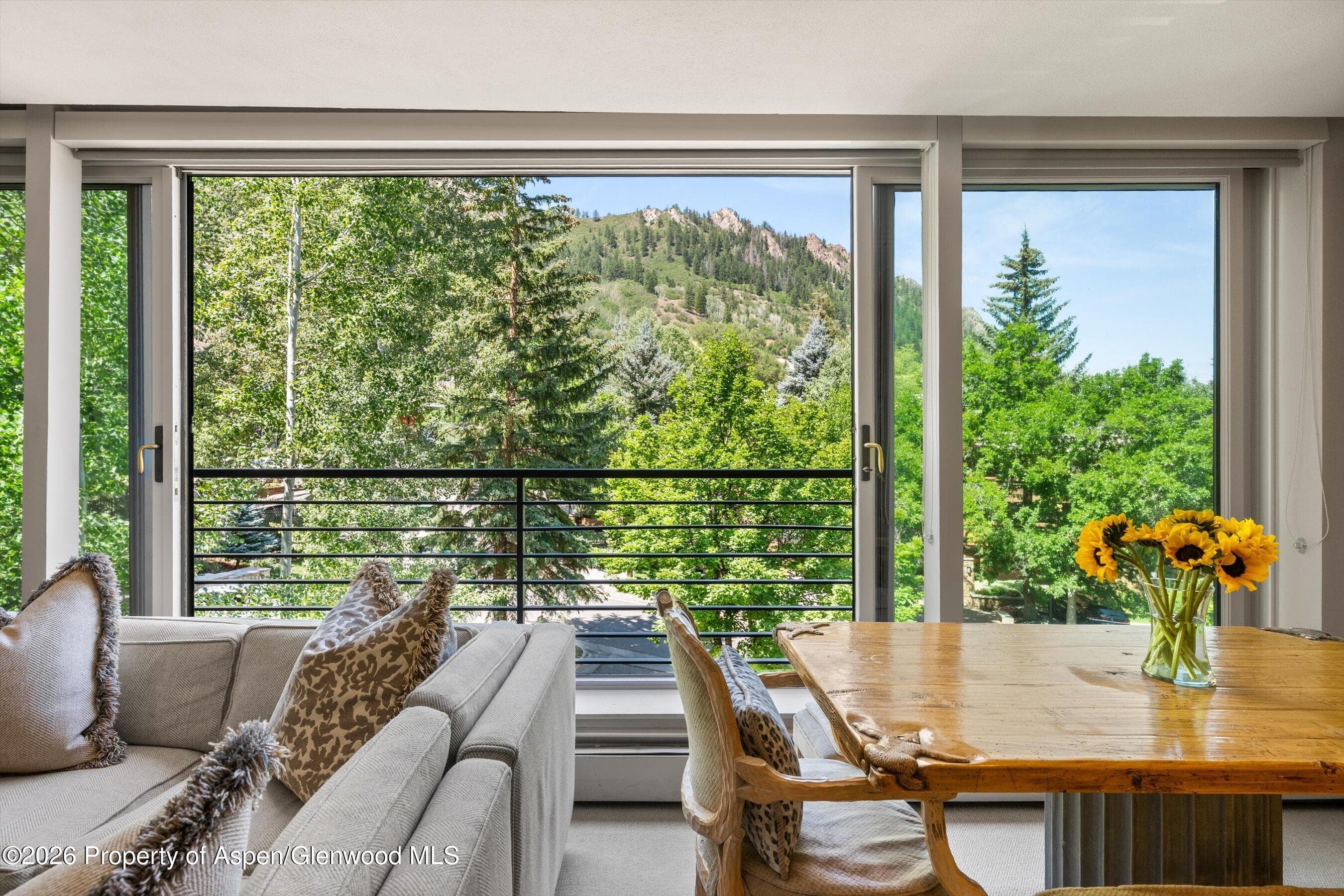 728 S Galena Street 202-B, Aspen, CO 81611 - Photo 16