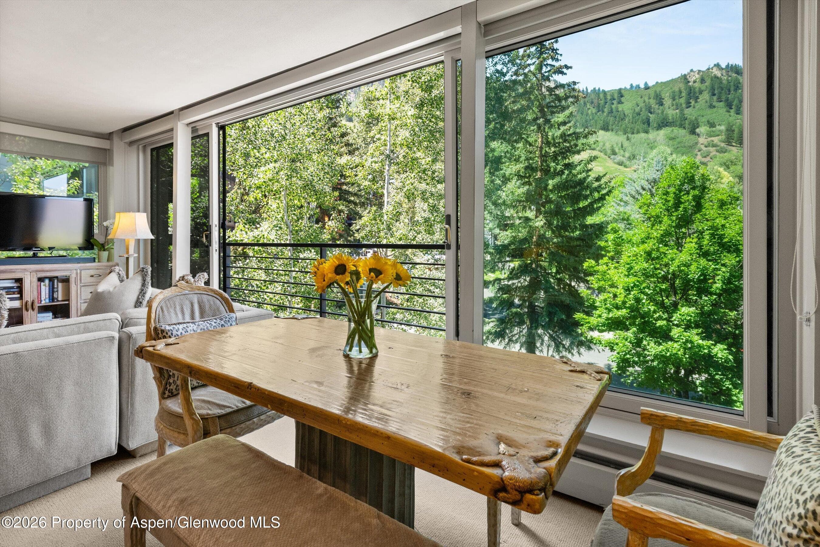 728 S Galena Street 202-B, Aspen, CO 81611 - Photo 17
