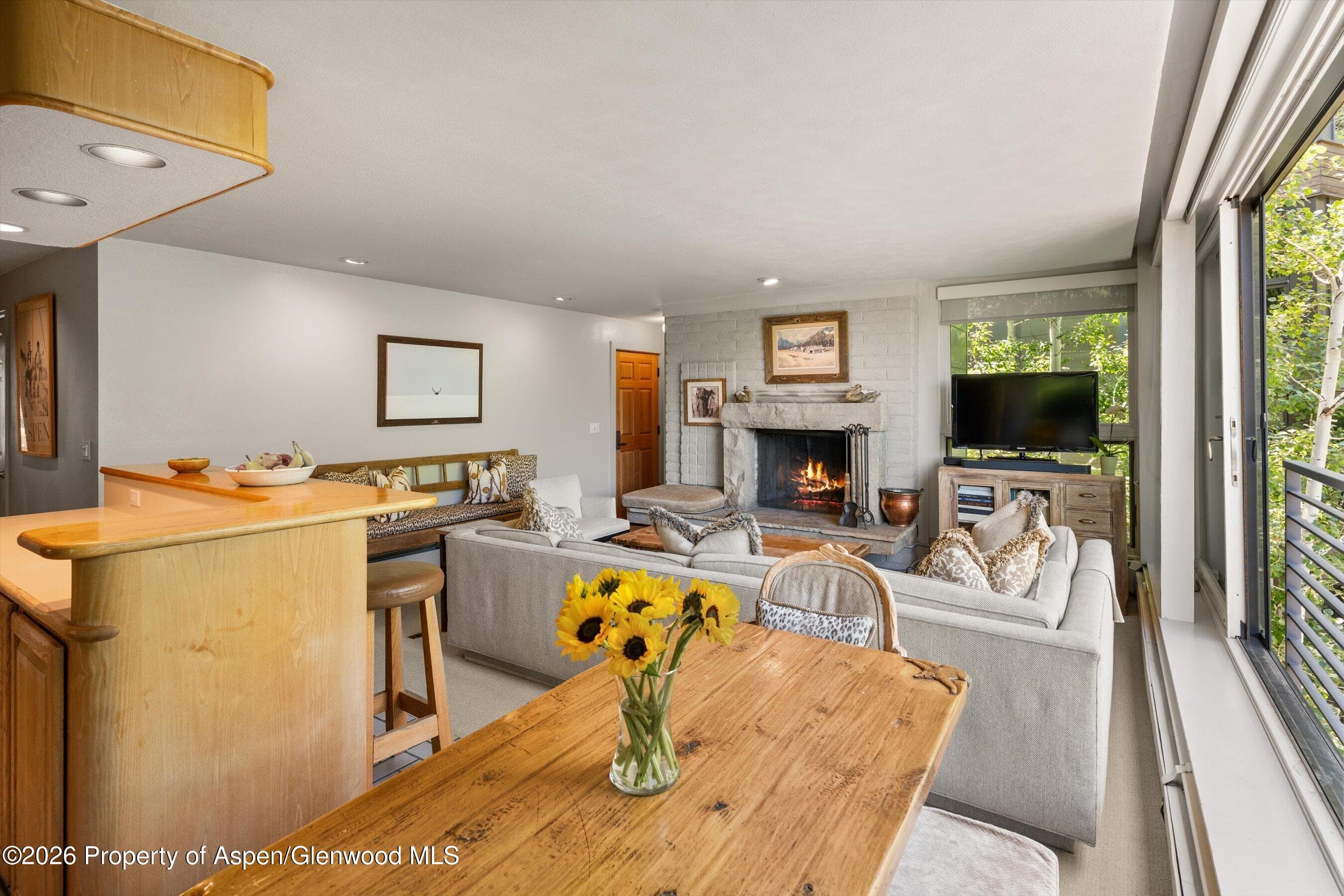 728 S Galena Street 202-B, Aspen, CO 81611 - Photo 18