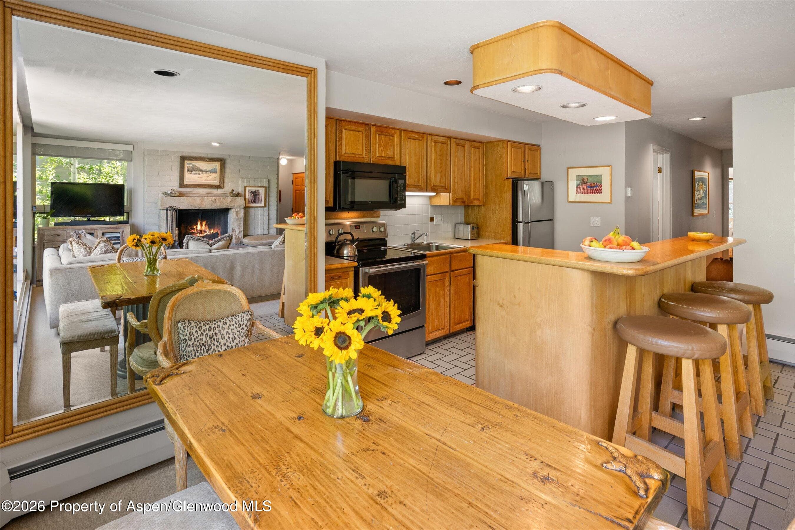 728 S Galena Street 202-B, Aspen, CO 81611 - Photo 19