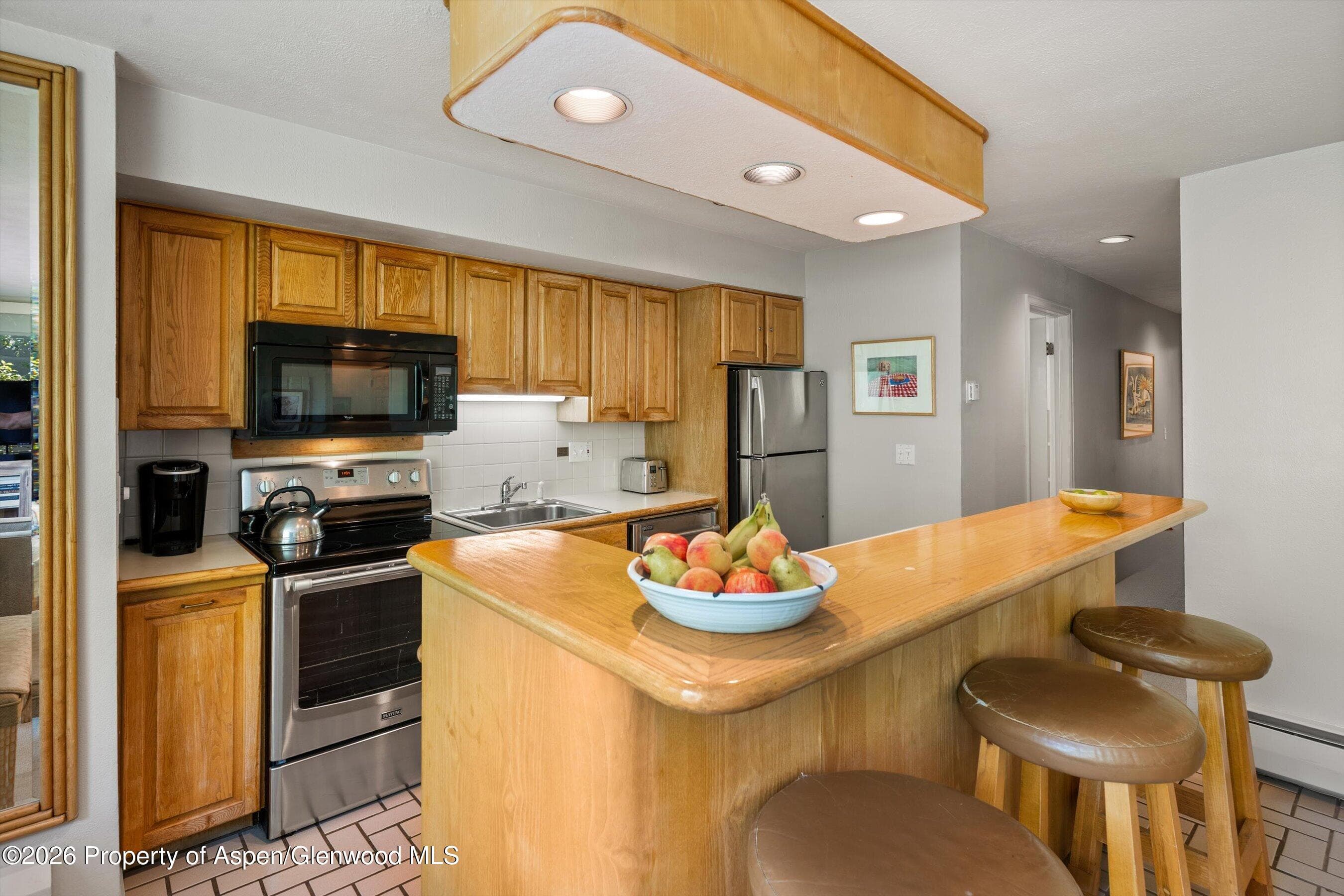 728 S Galena Street 202-B, Aspen, CO 81611 - Photo 20