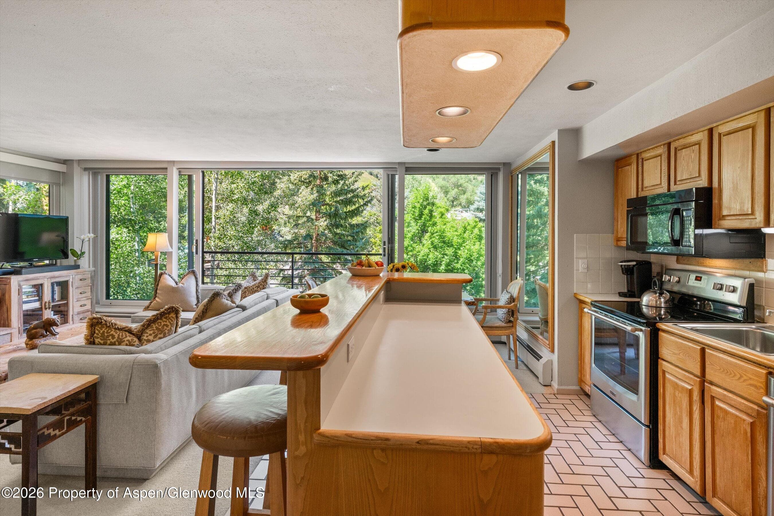 728 S Galena Street 202-B, Aspen, CO 81611 - Photo 22