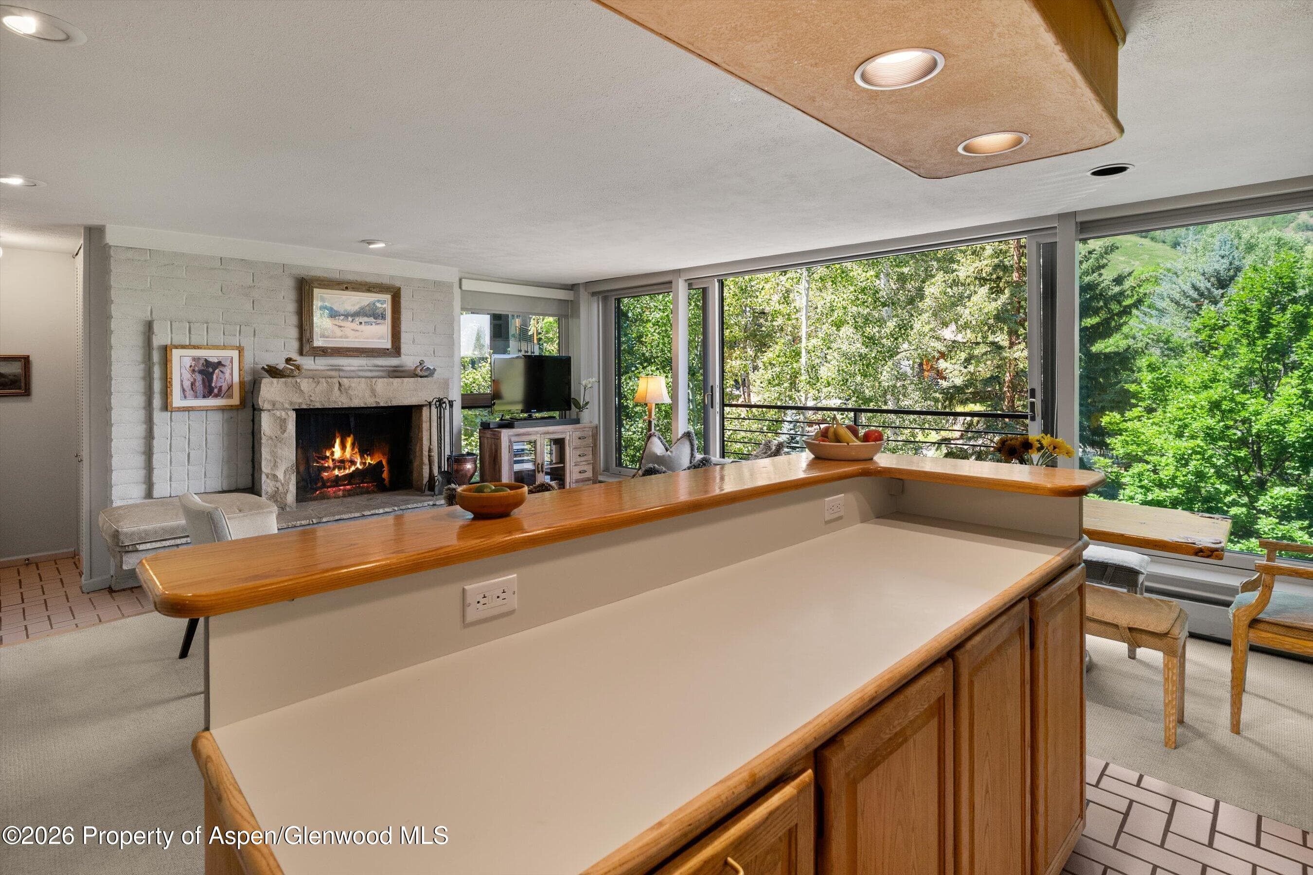 728 S Galena Street 202-B, Aspen, CO 81611 - Photo 21