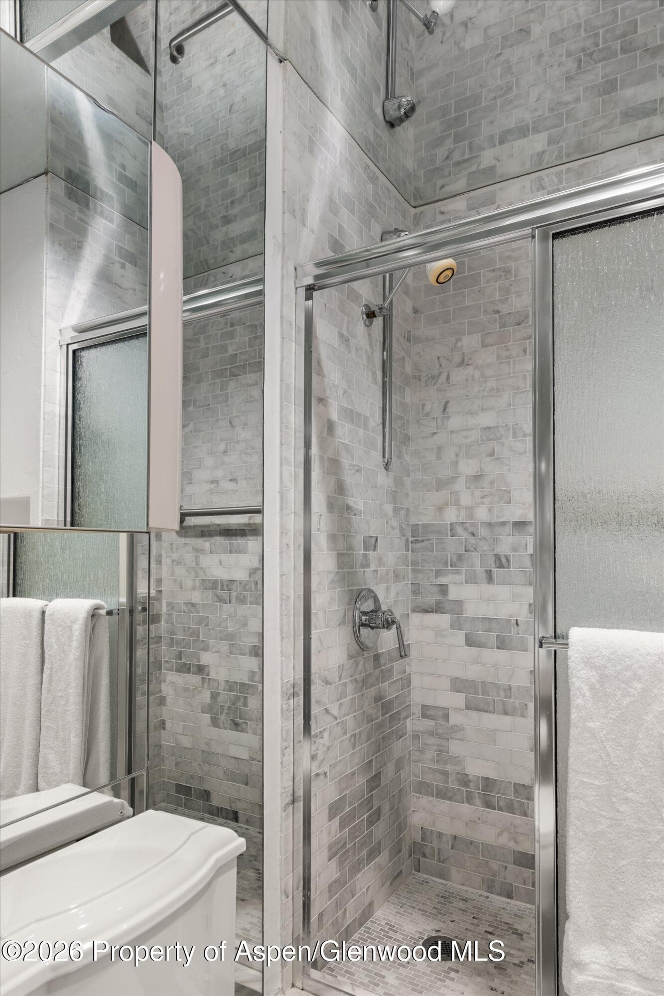 728 S Galena Street 202-B, Aspen, CO 81611 - Photo 31