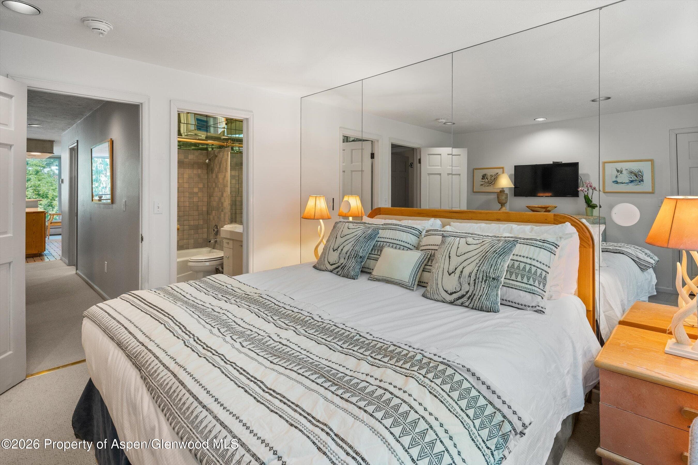 728 S Galena Street 202-B, Aspen, CO 81611 - Photo 23