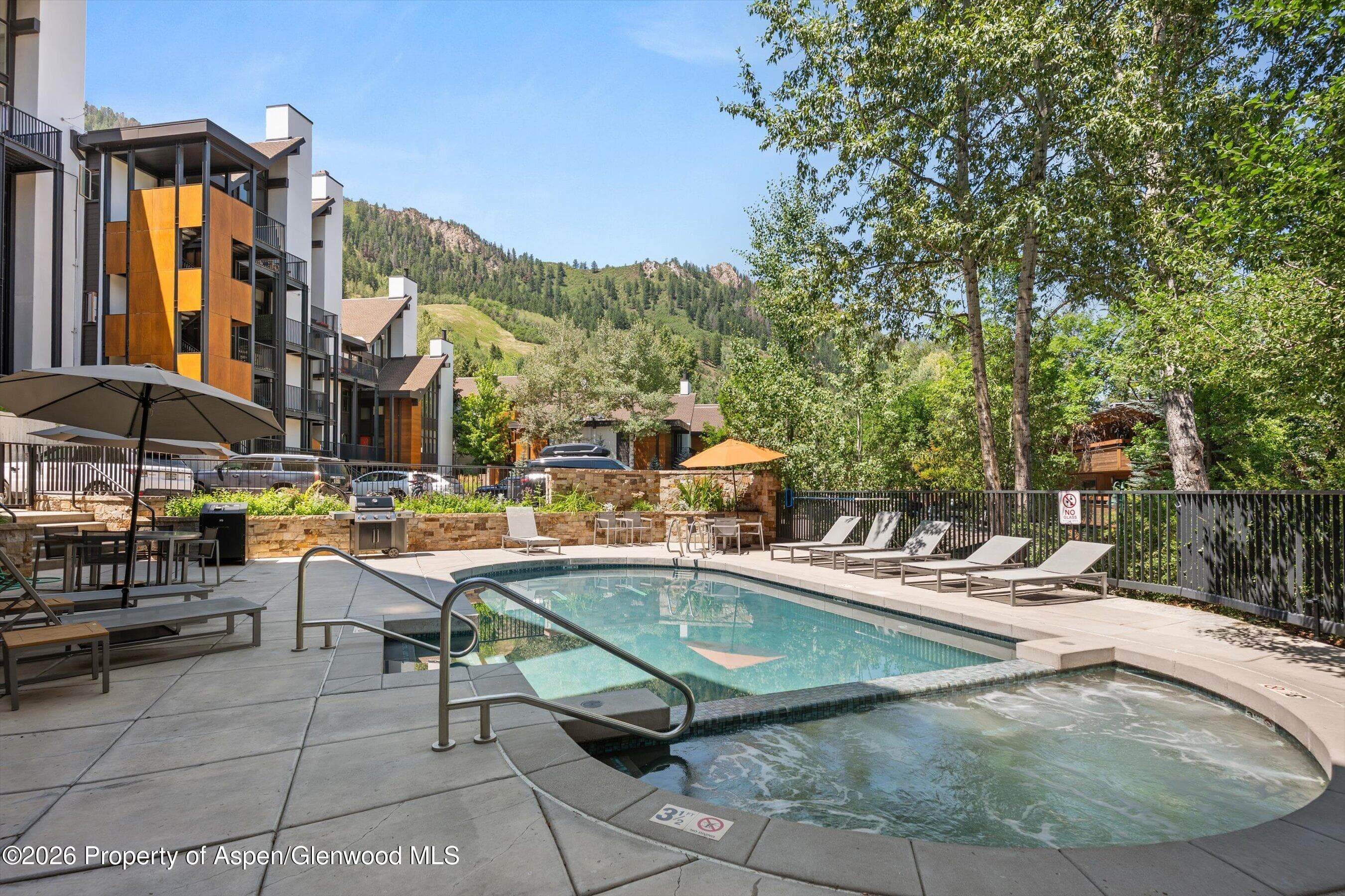 728 S Galena Street 202-B, Aspen, CO 81611 - Photo 39