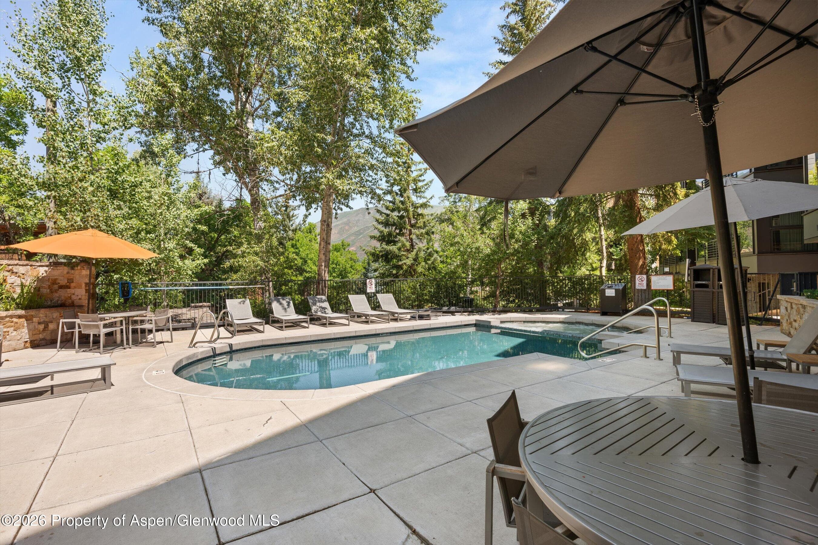 728 S Galena Street 202-B, Aspen, CO 81611 - Photo 41