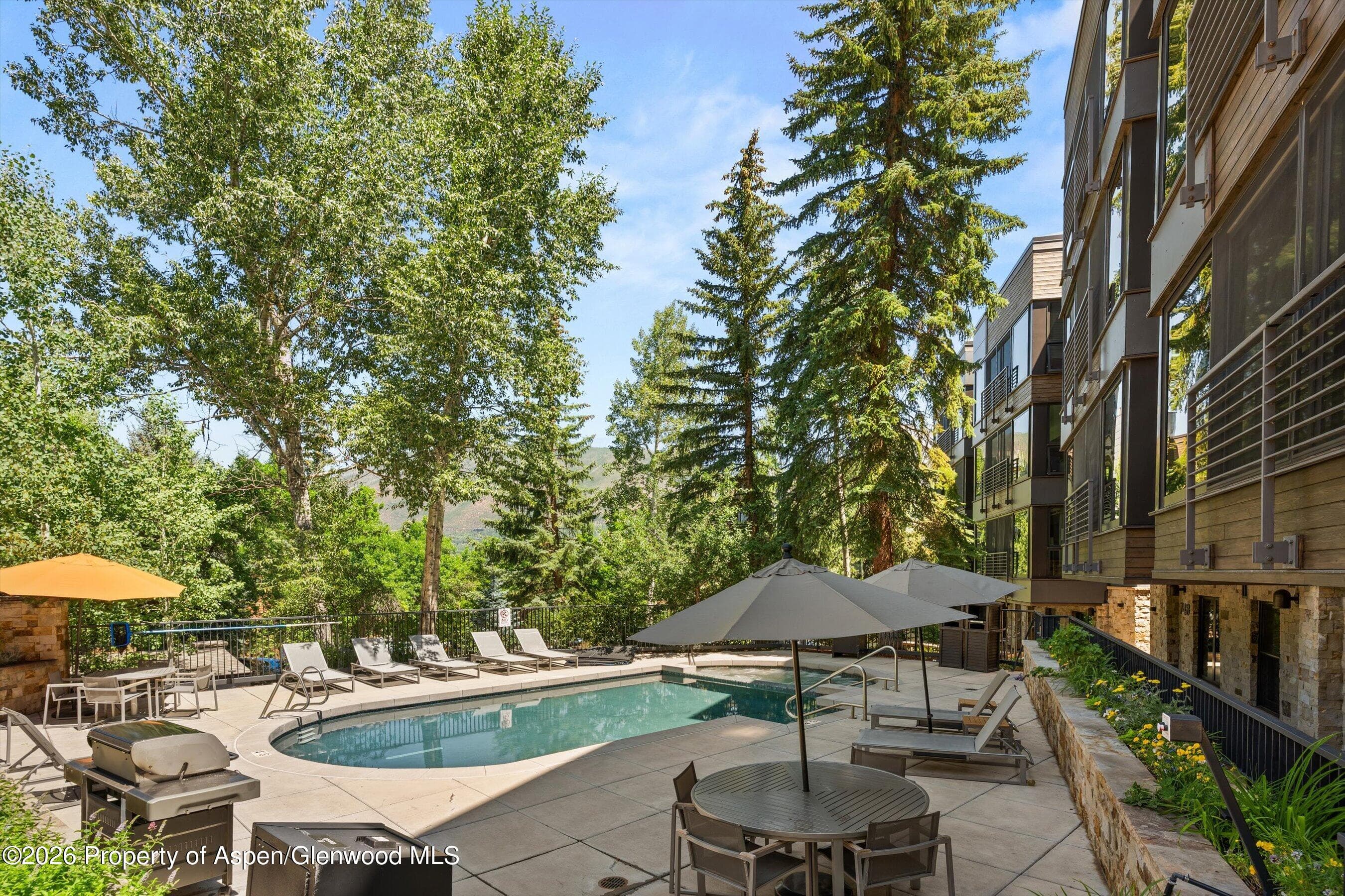 728 S Galena Street 202-B, Aspen, CO 81611 - Photo 43