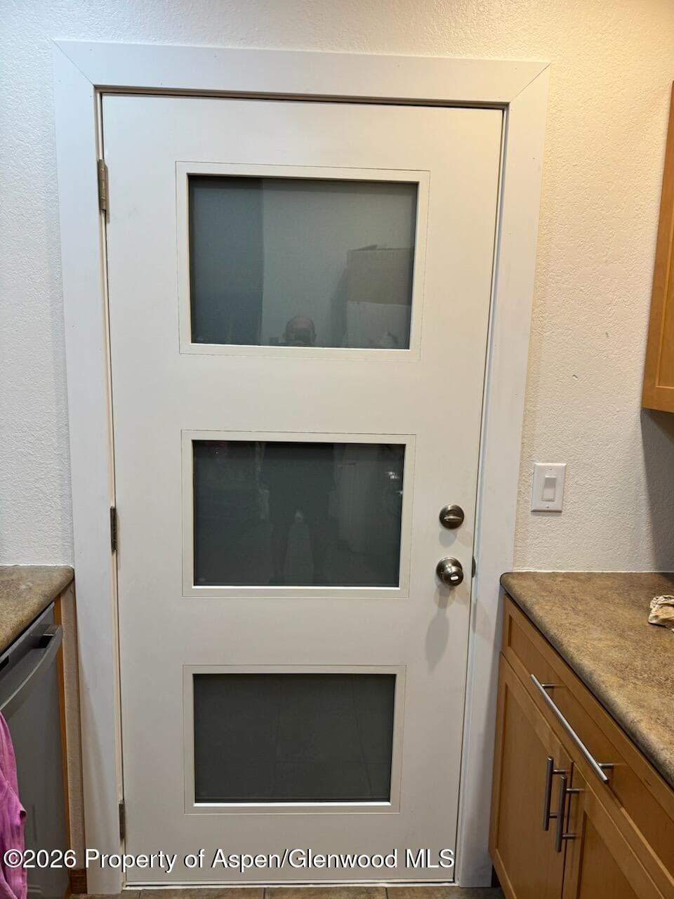 3010 Hager Lane 4, Glenwood Springs, CO 81601 - Photo 13
