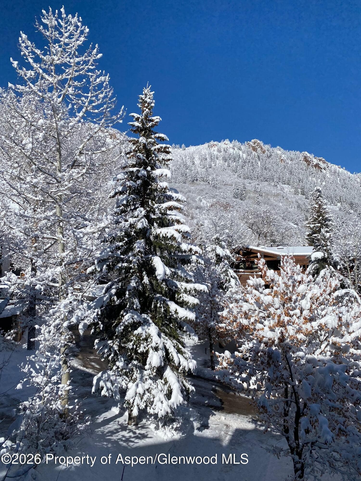 728 S Galena Street 202-B, Aspen, CO 81611 - Photo 7