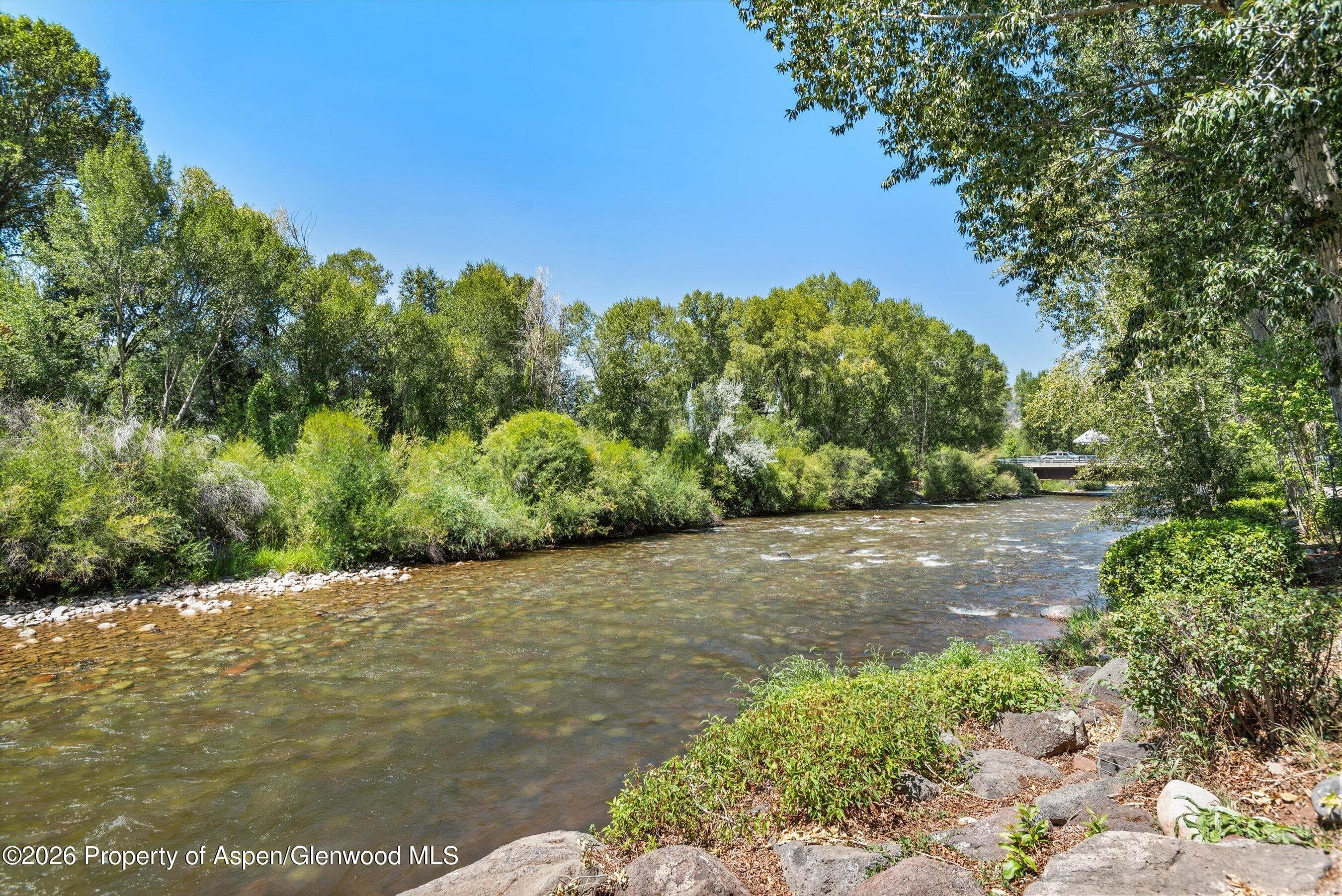 555 Gold Rivers Court 200, Basalt, CO 81621 - Photo 16