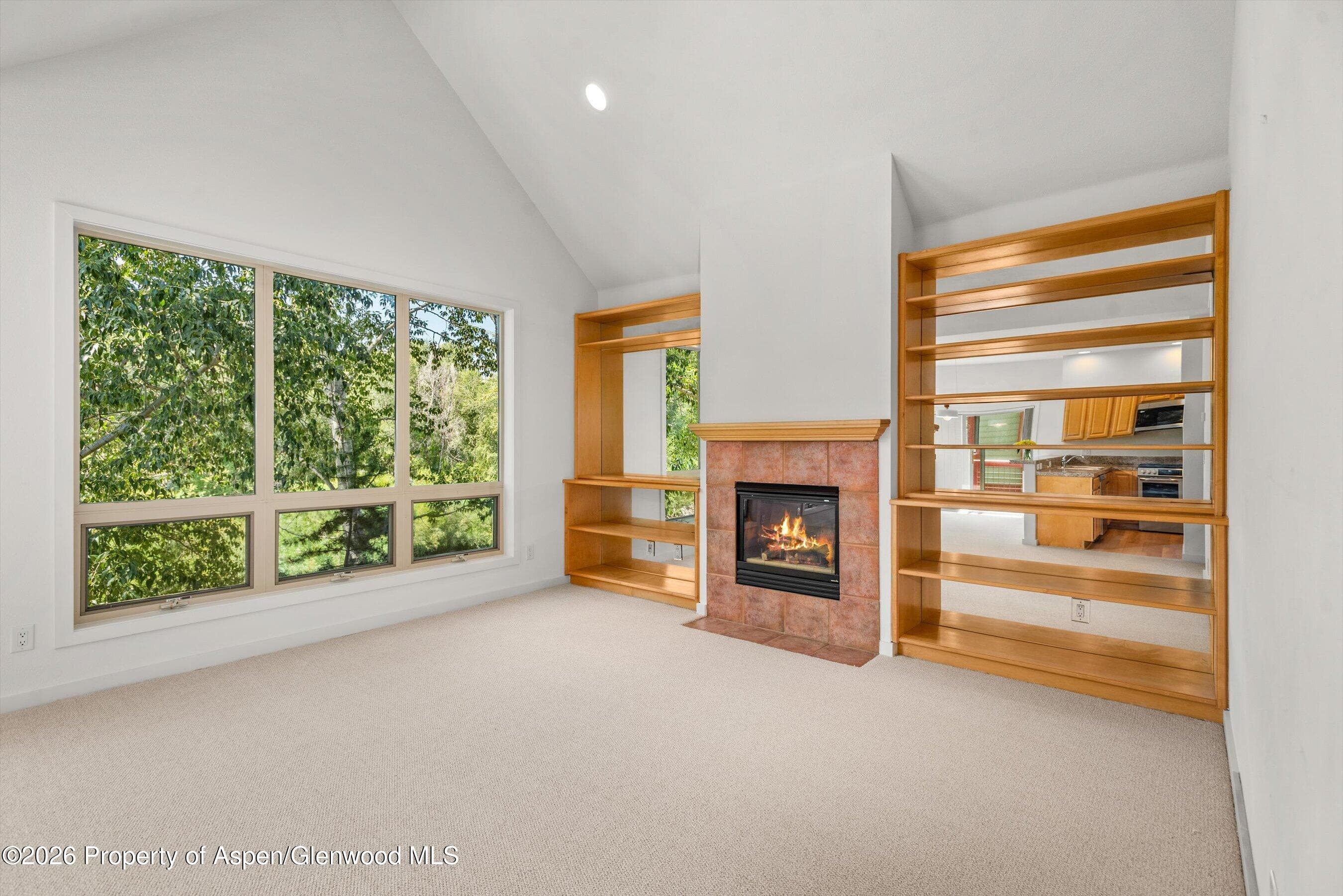 555 Gold Rivers Court 200, Basalt, CO 81621 - Photo 4