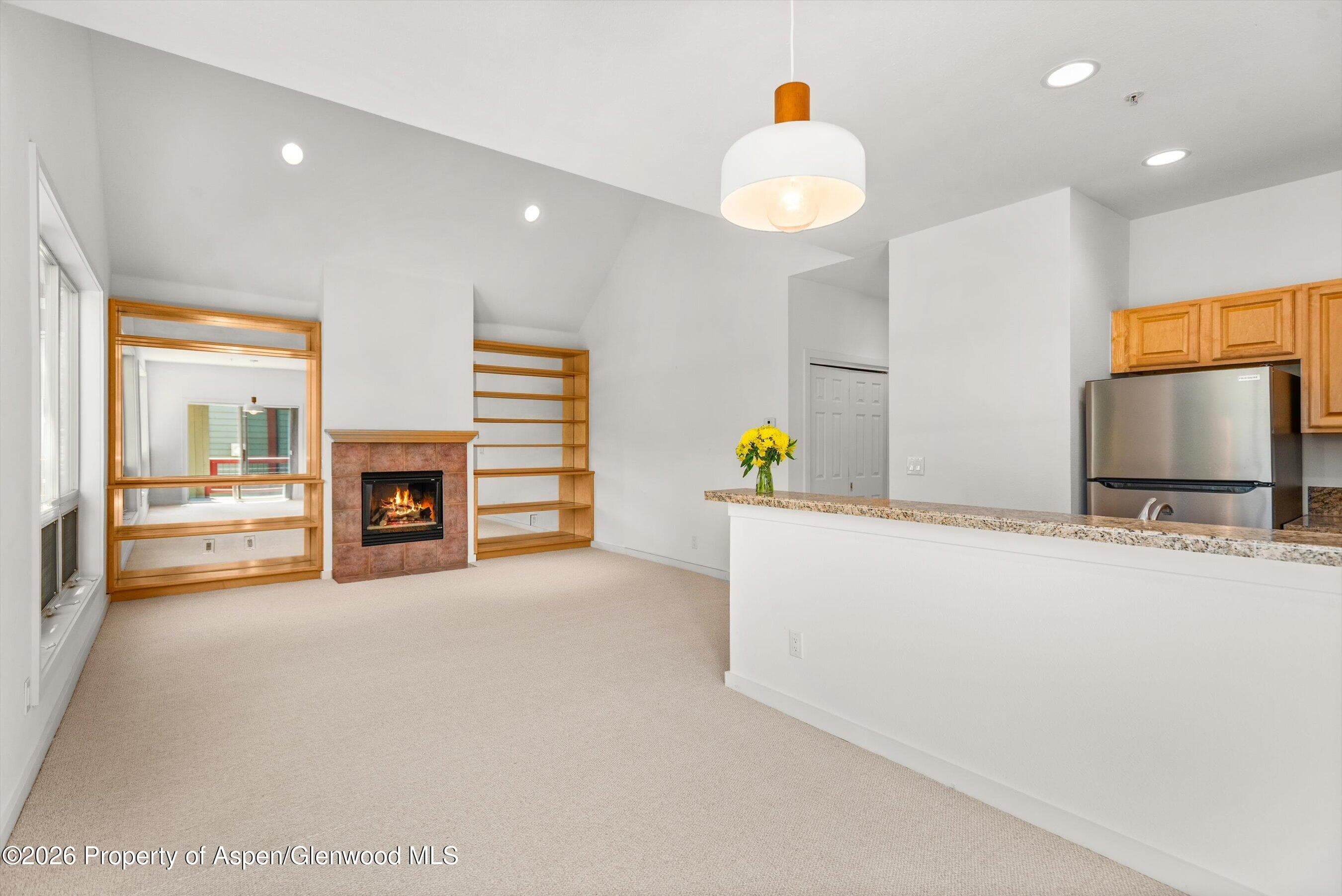 555 Gold Rivers Court 200, Basalt, CO 81621 - Photo 5