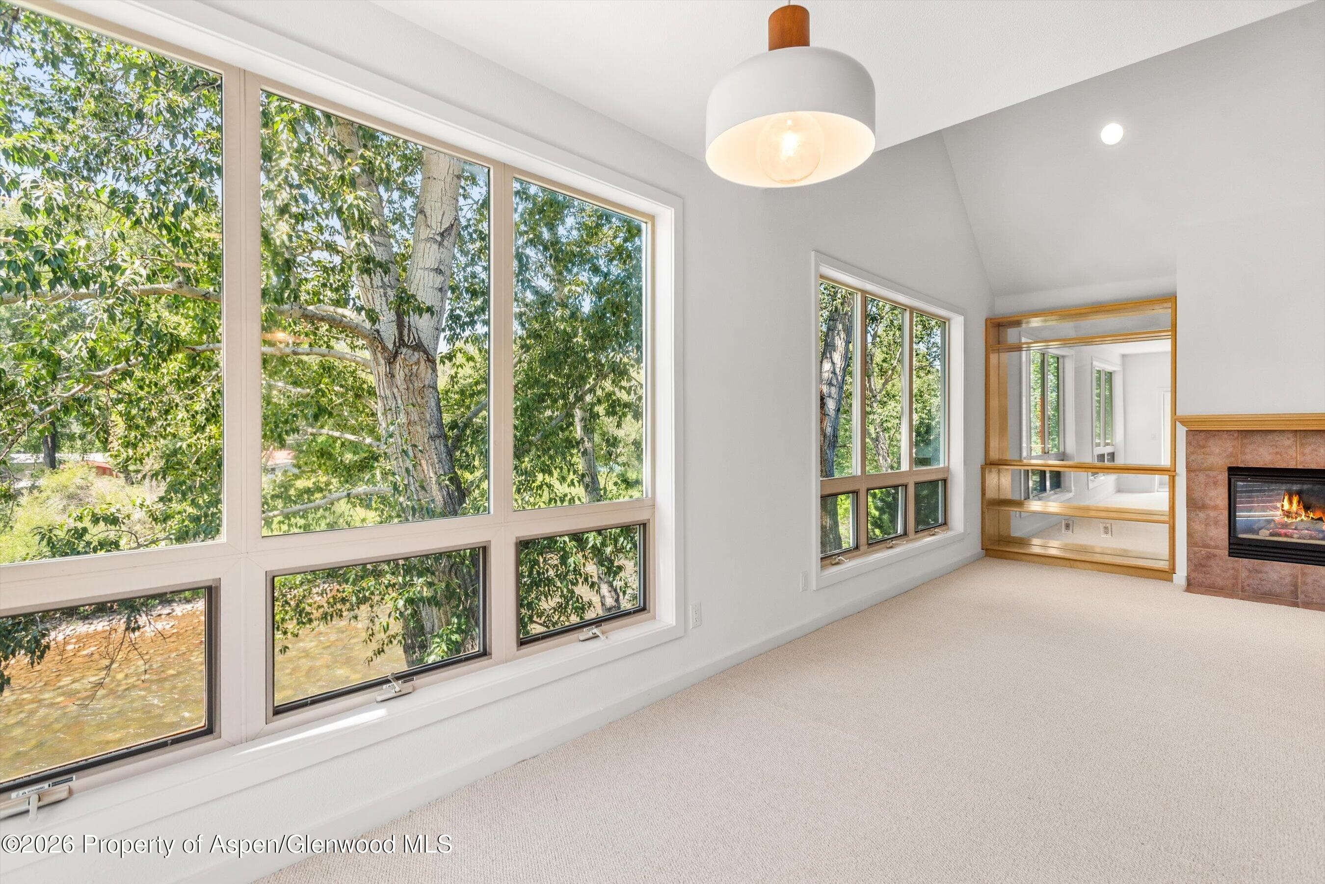 555 Gold Rivers Court 200, Basalt, CO 81621 - Photo 6