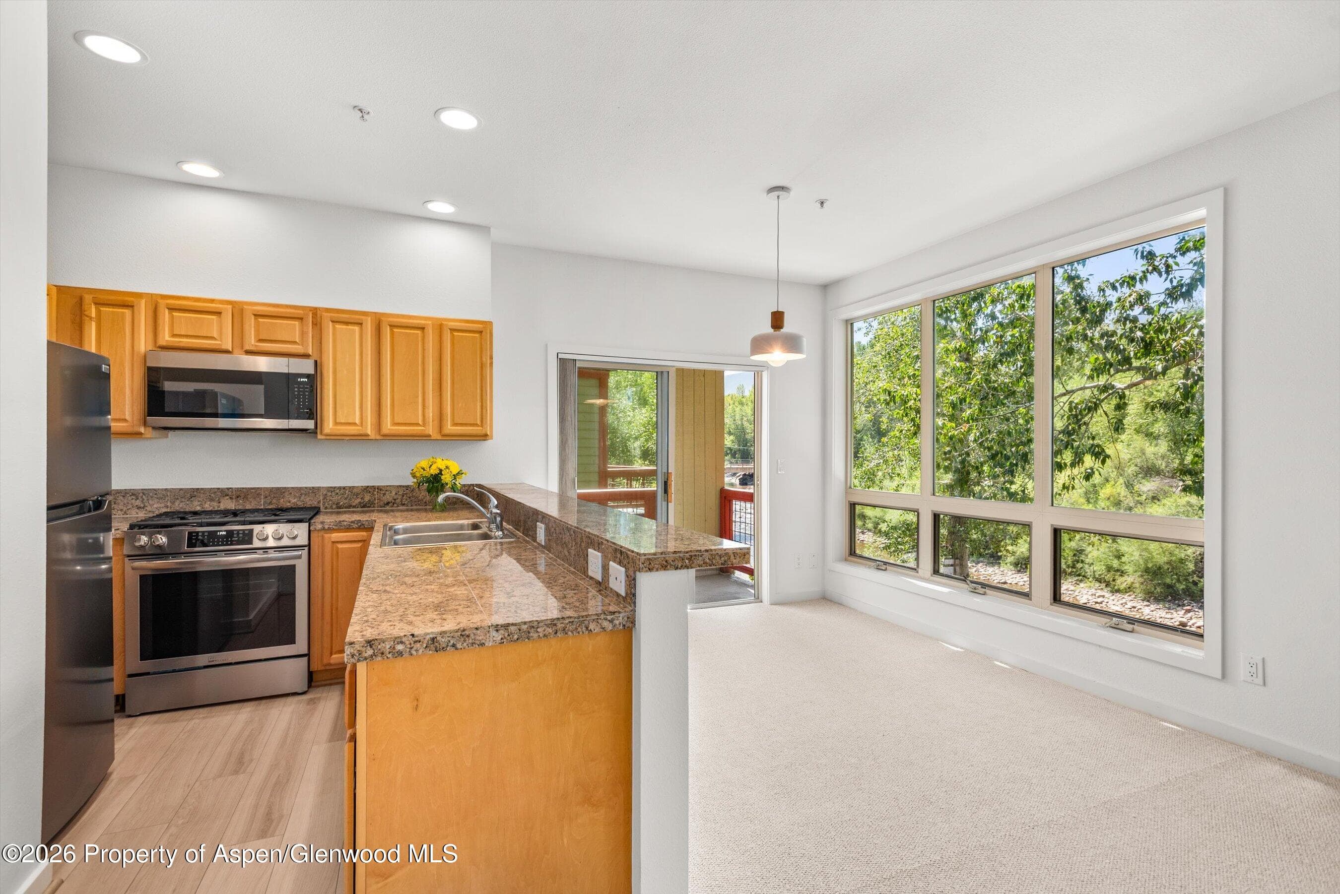 555 Gold Rivers Court 200, Basalt, CO 81621 - Photo 2