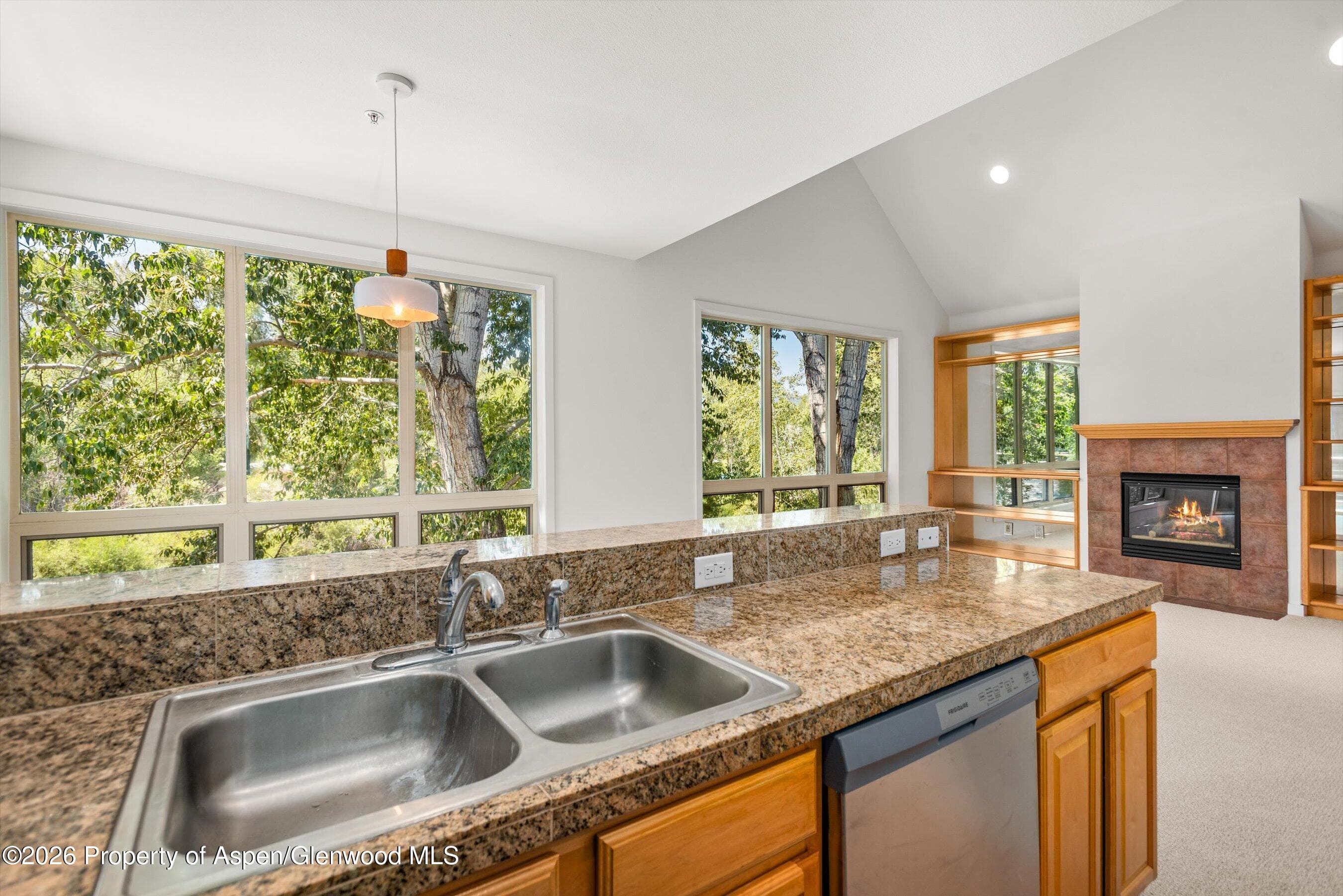 555 Gold Rivers Court 200, Basalt, CO 81621 - Photo 3