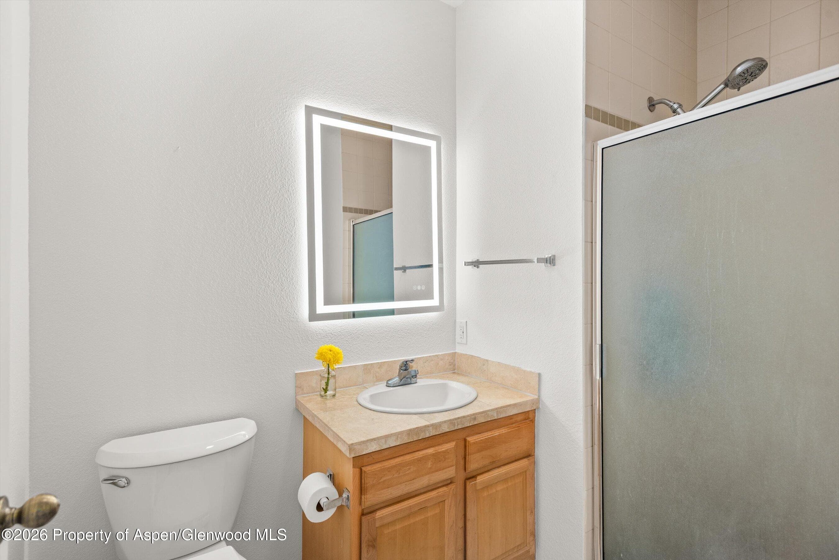555 Gold Rivers Court 200, Basalt, CO 81621 - Photo 13