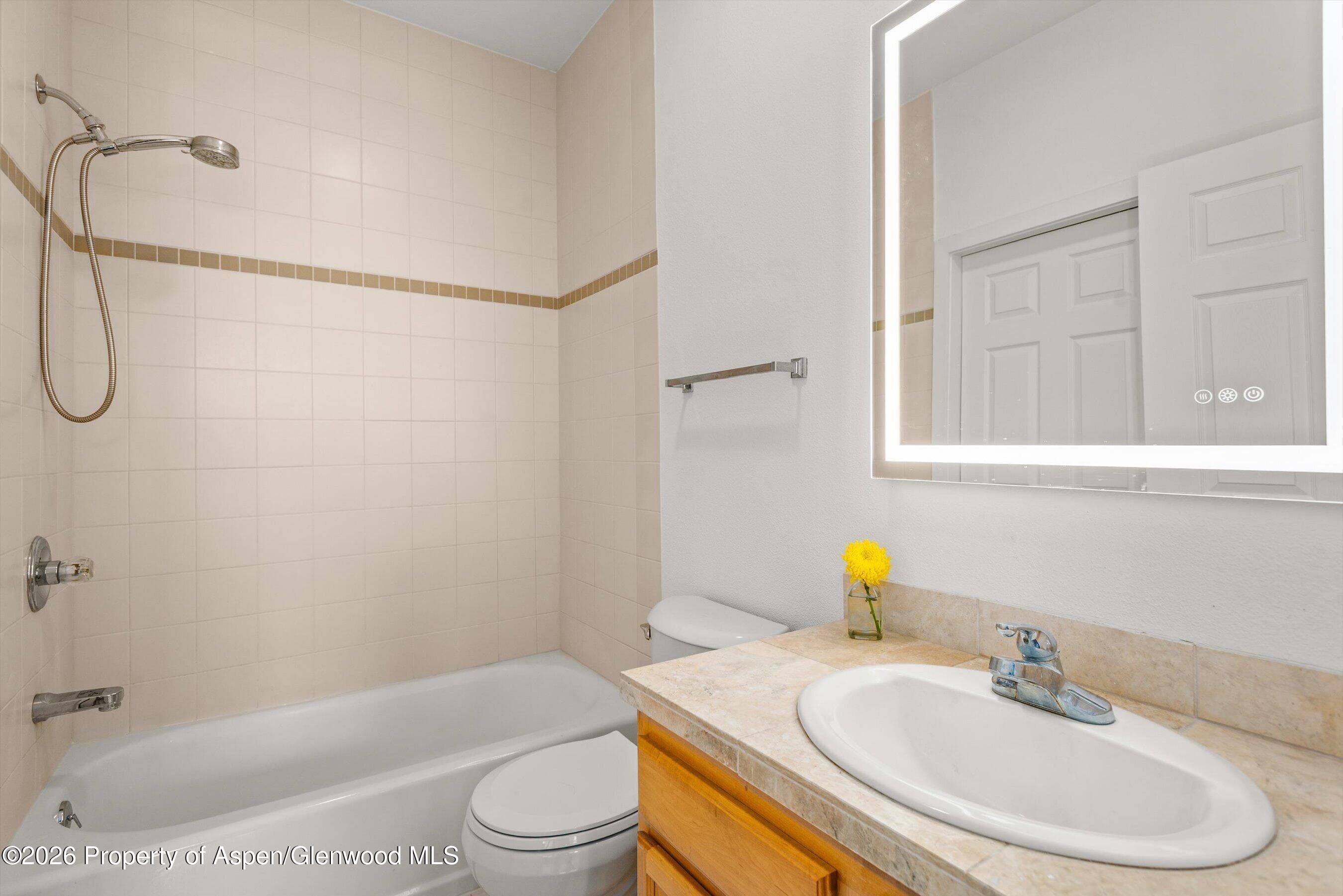 555 Gold Rivers Court 200, Basalt, CO 81621 - Photo 11