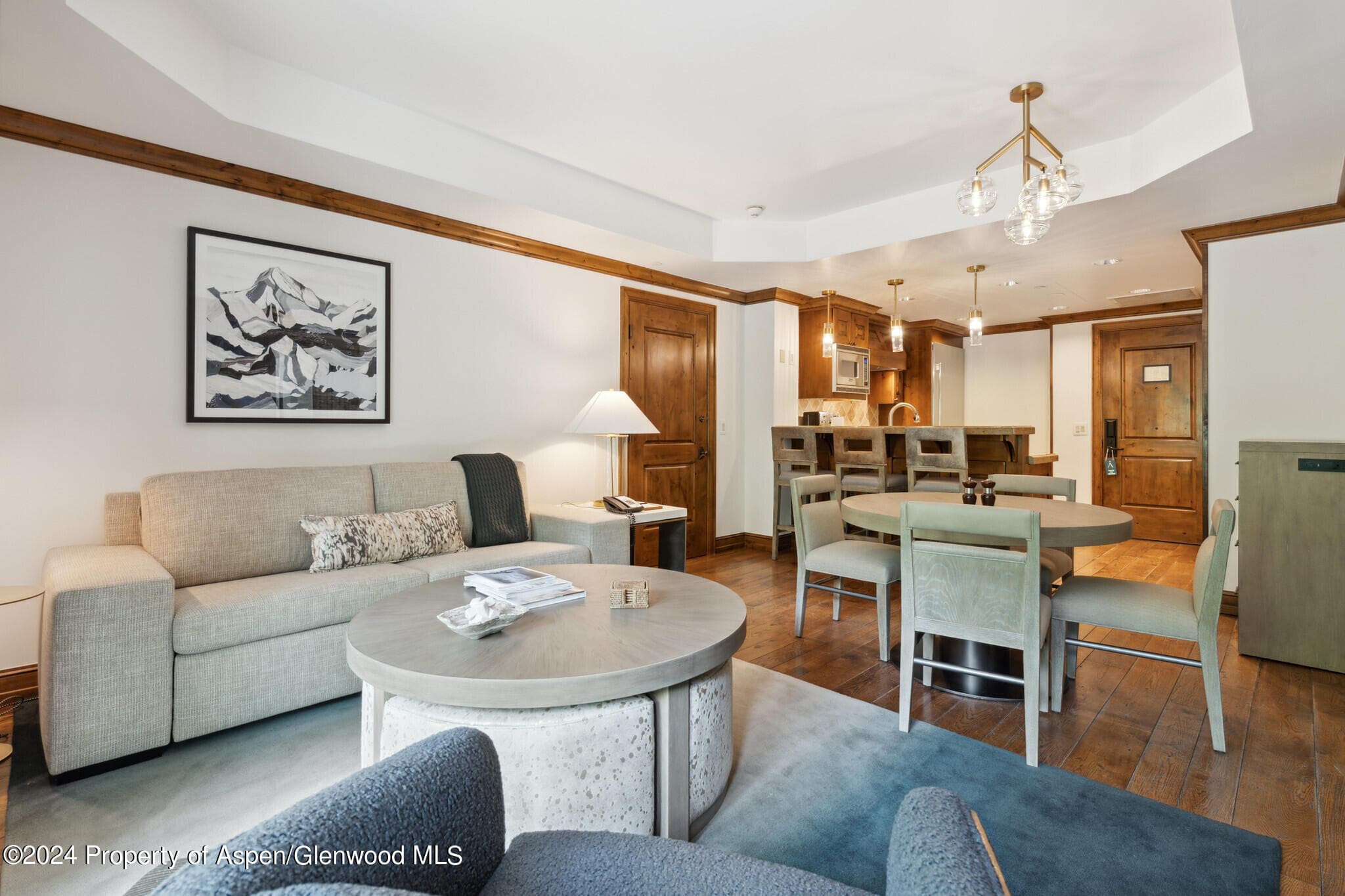 415 E Dean St, Unit 18, Week 28, Aspen, CO 81611 - Photo 3