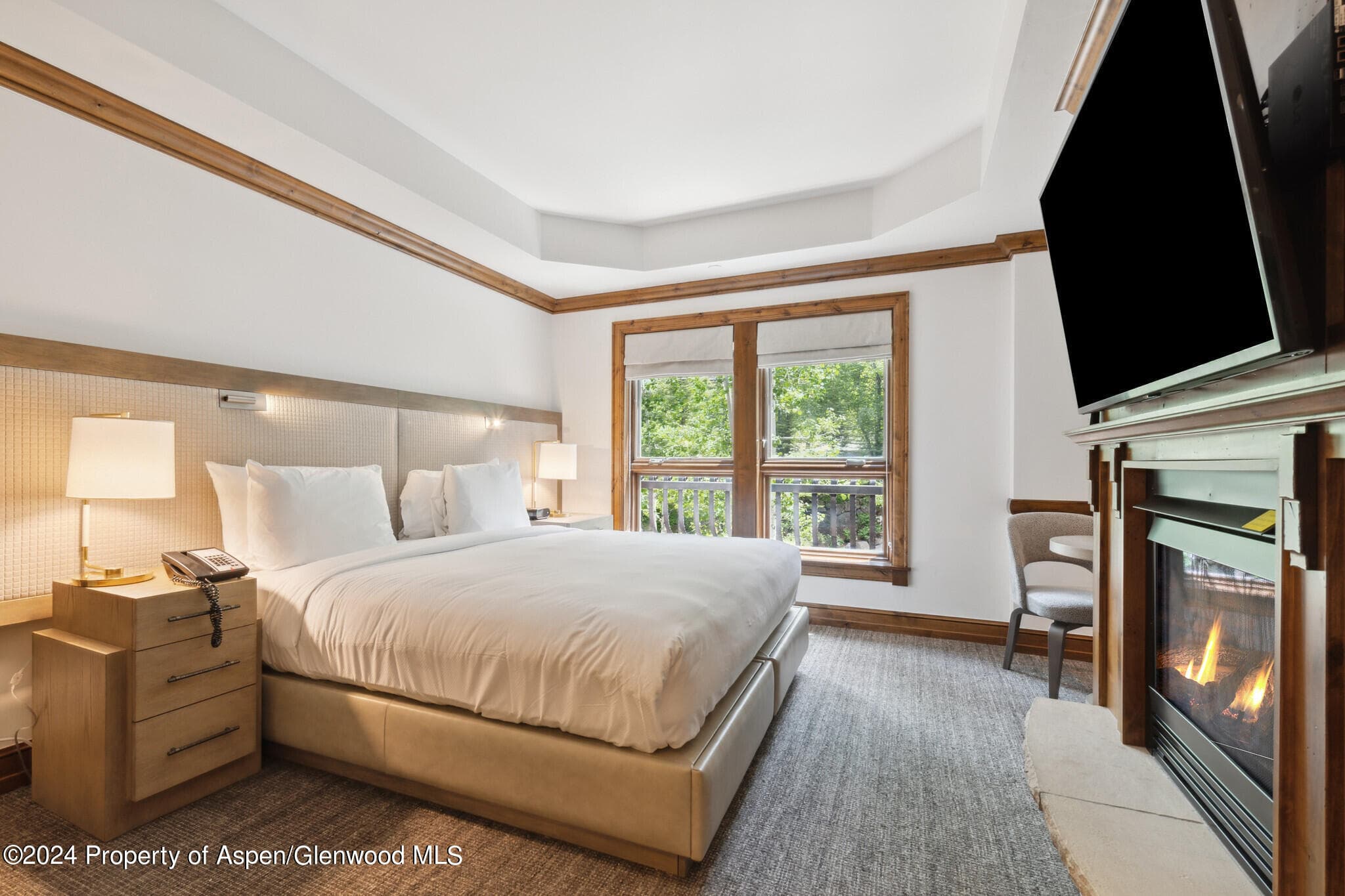 415 E Dean St, Unit 18, Week 28, Aspen, CO 81611 - Photo 13