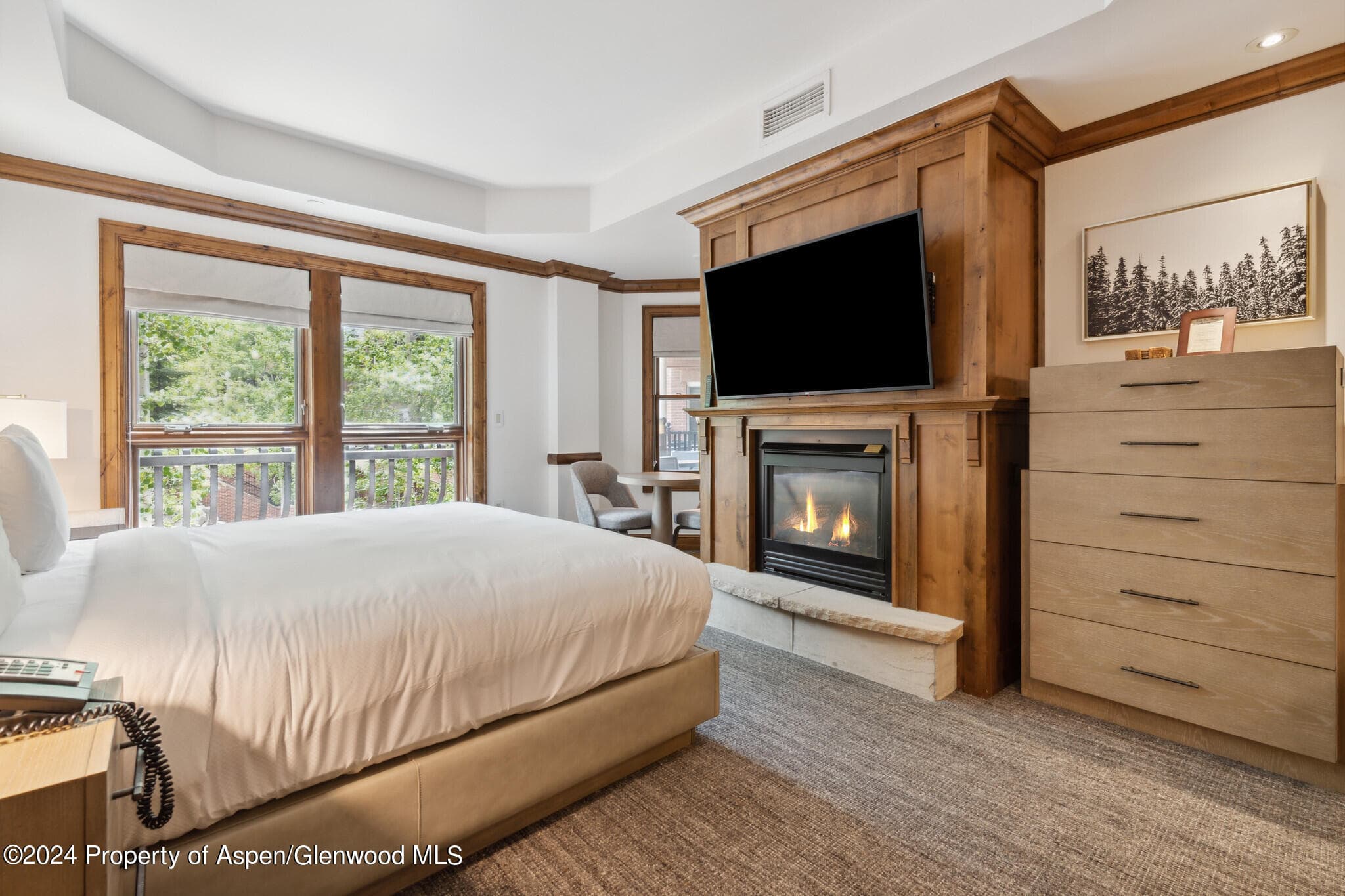 415 E Dean St, Unit 18, Week 28, Aspen, CO 81611 - Photo 14