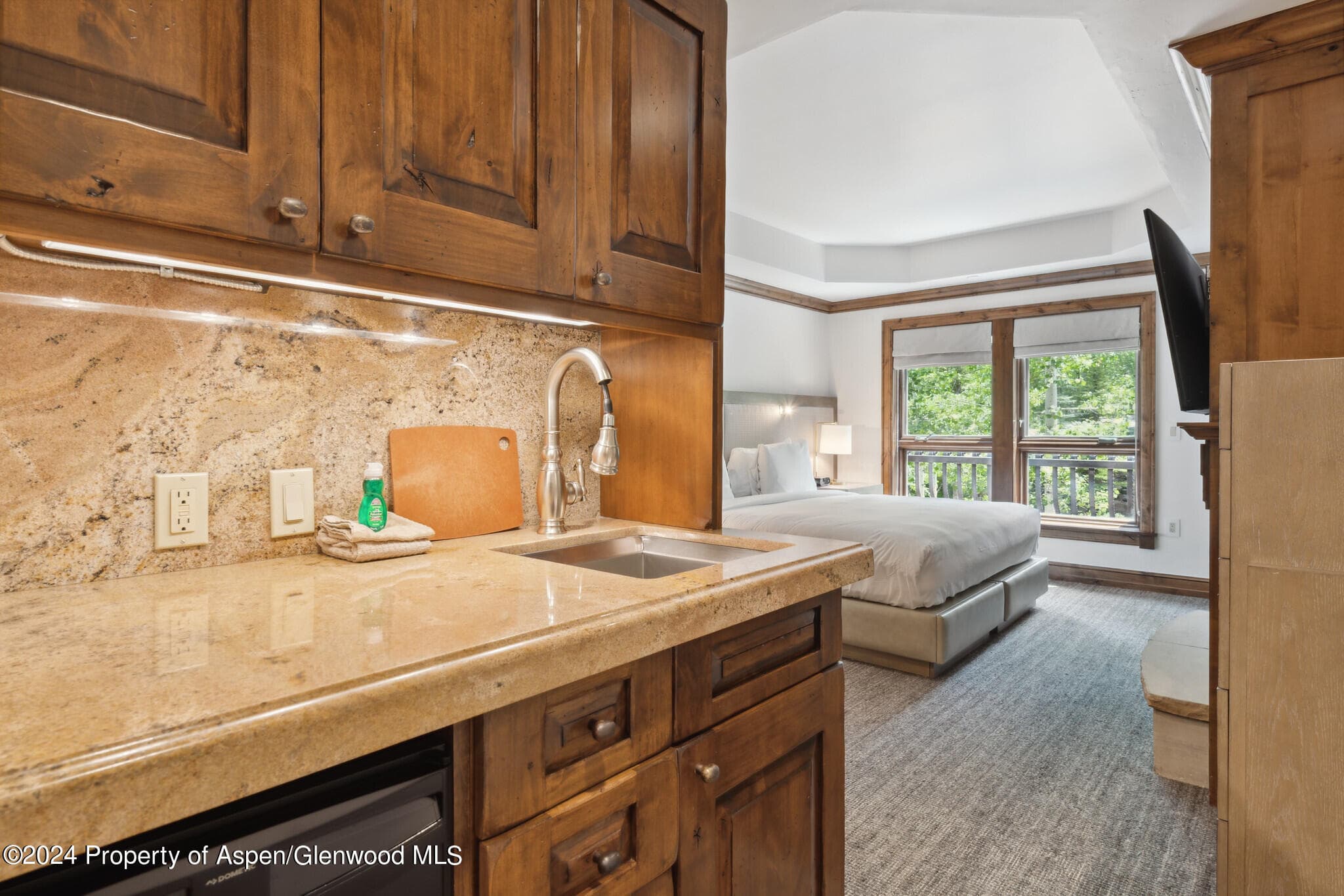 415 E Dean St, Unit 18, Week 28, Aspen, CO 81611 - Photo 16