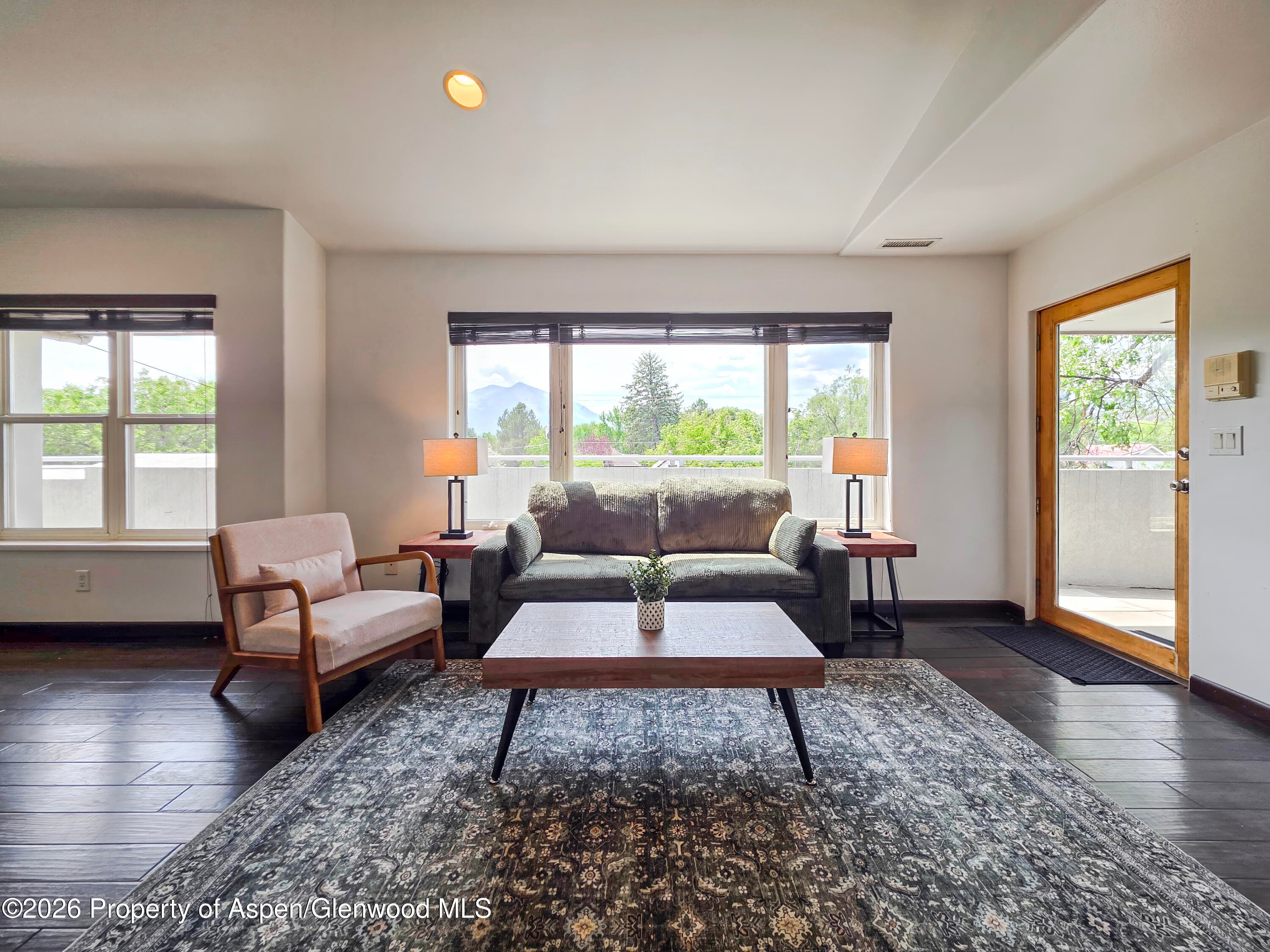 60 S 8th Street 301, Carbondale, CO 81623 - Photo 4